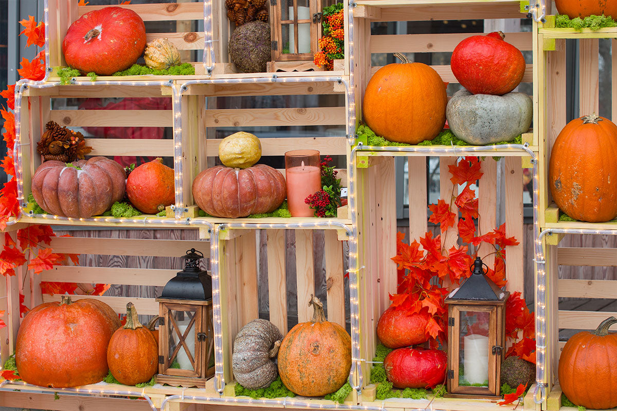 5 idee creative per arredare con le cassette di legno