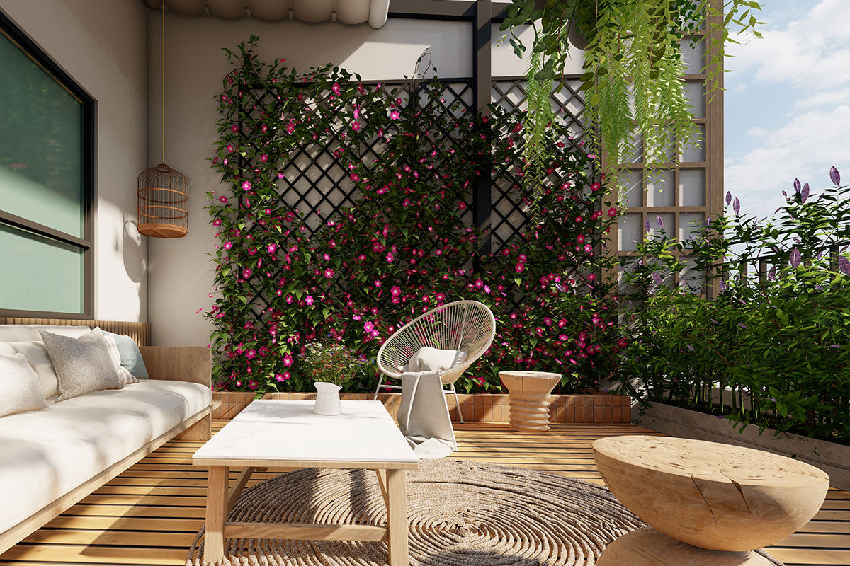 Come abbellire un muro esterno: consigli pratici e creativi