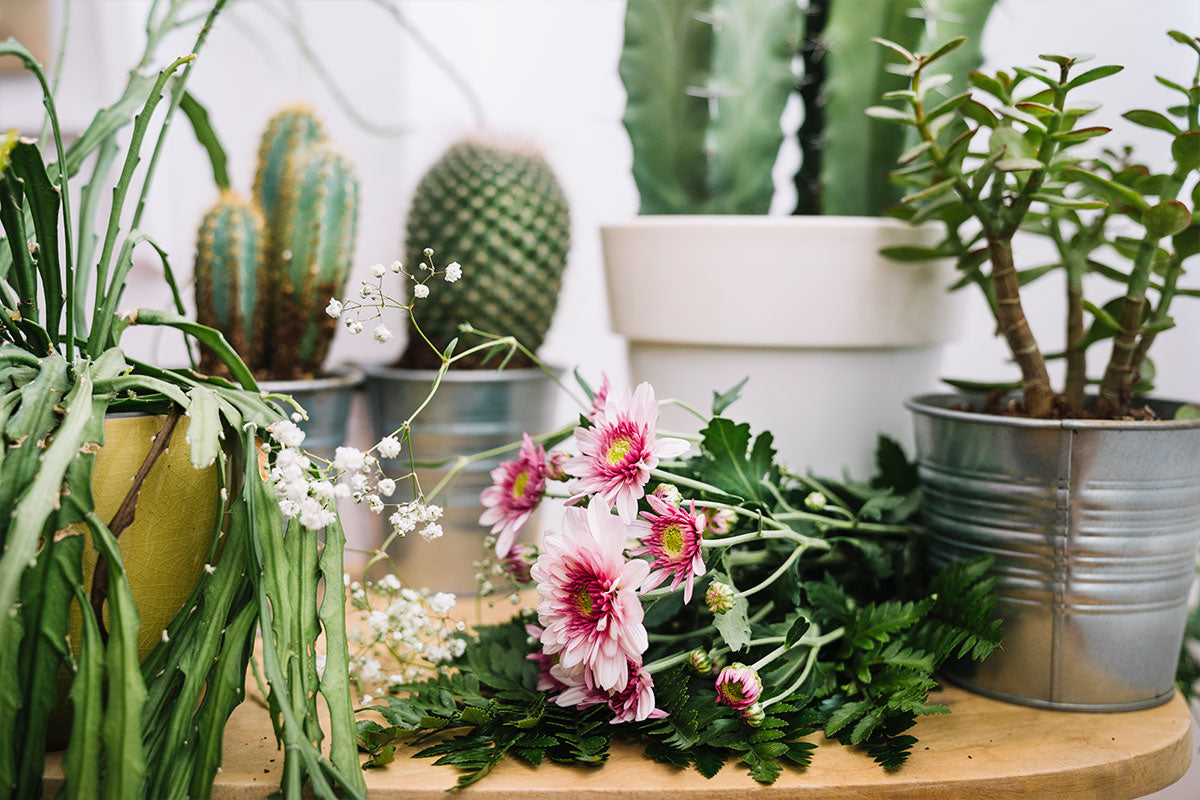 Come arredare un giardino piccolo: 5 idee per la tua oasi verde
