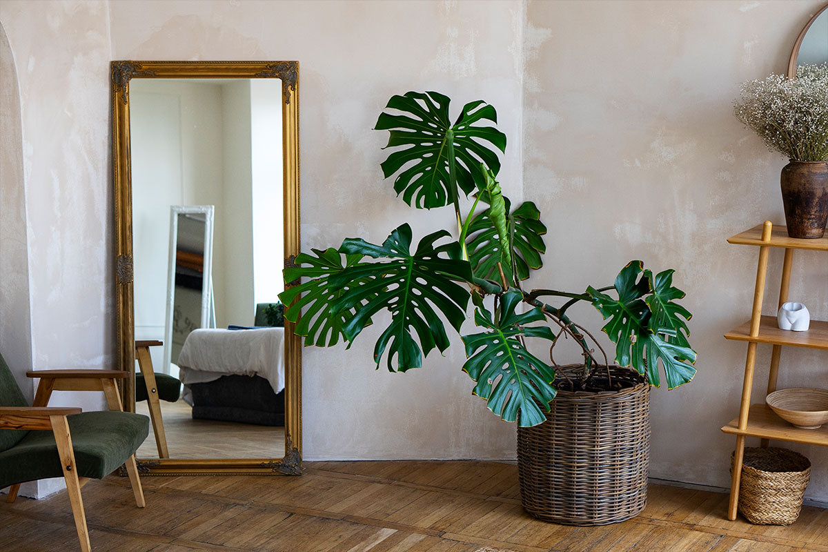 Arredare con gli specchi: luminosità e stile in tutta la casa