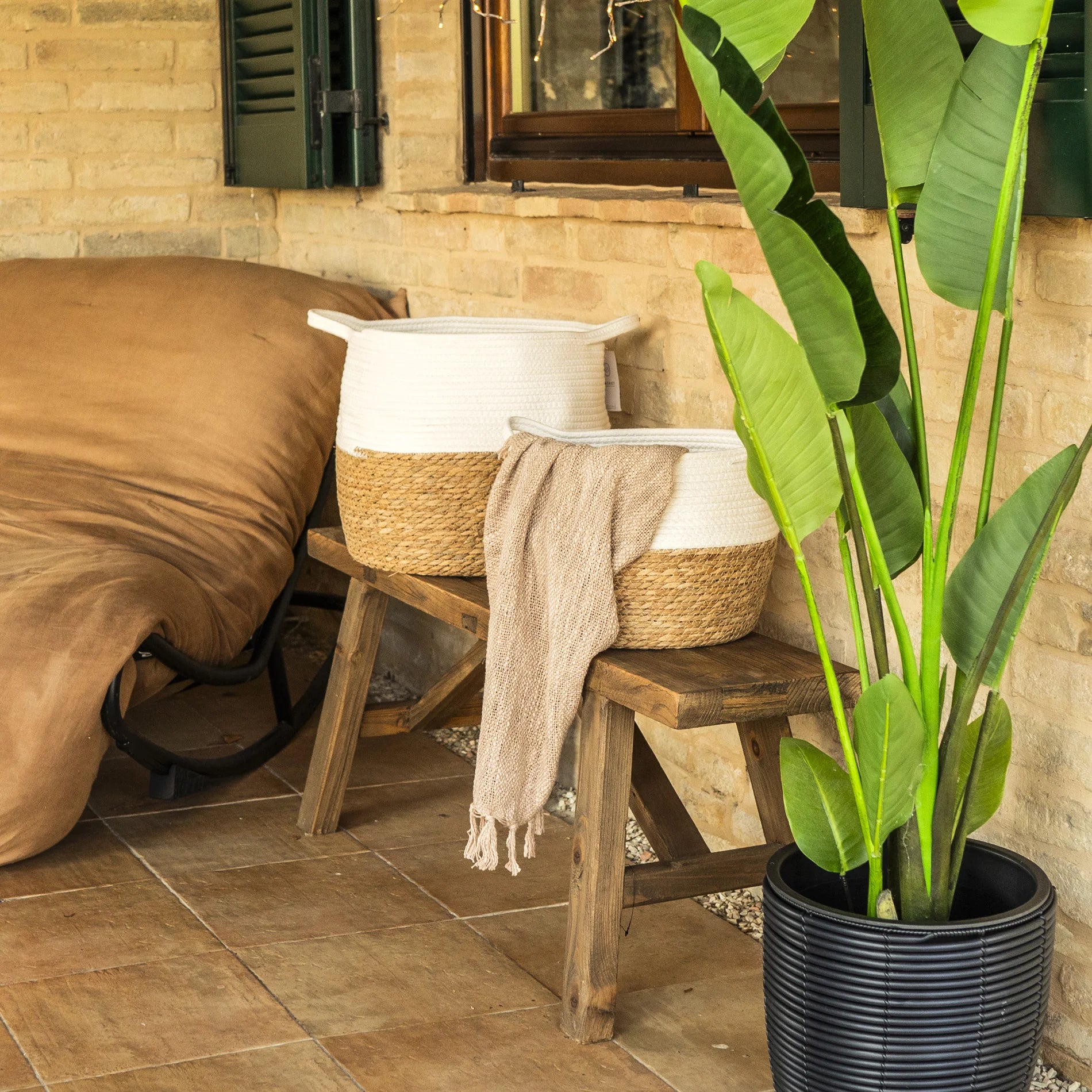 Cycas - Set di 2 ceste portaoggetti in alga marina e cotone