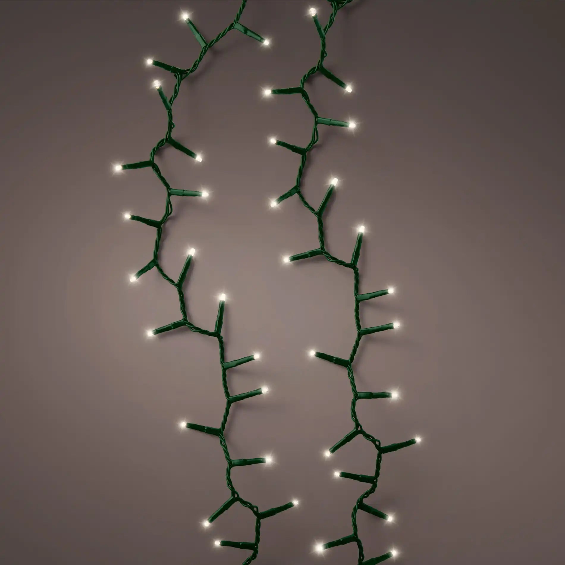 Rizofora - Luci per albero di Natale con 1000 led