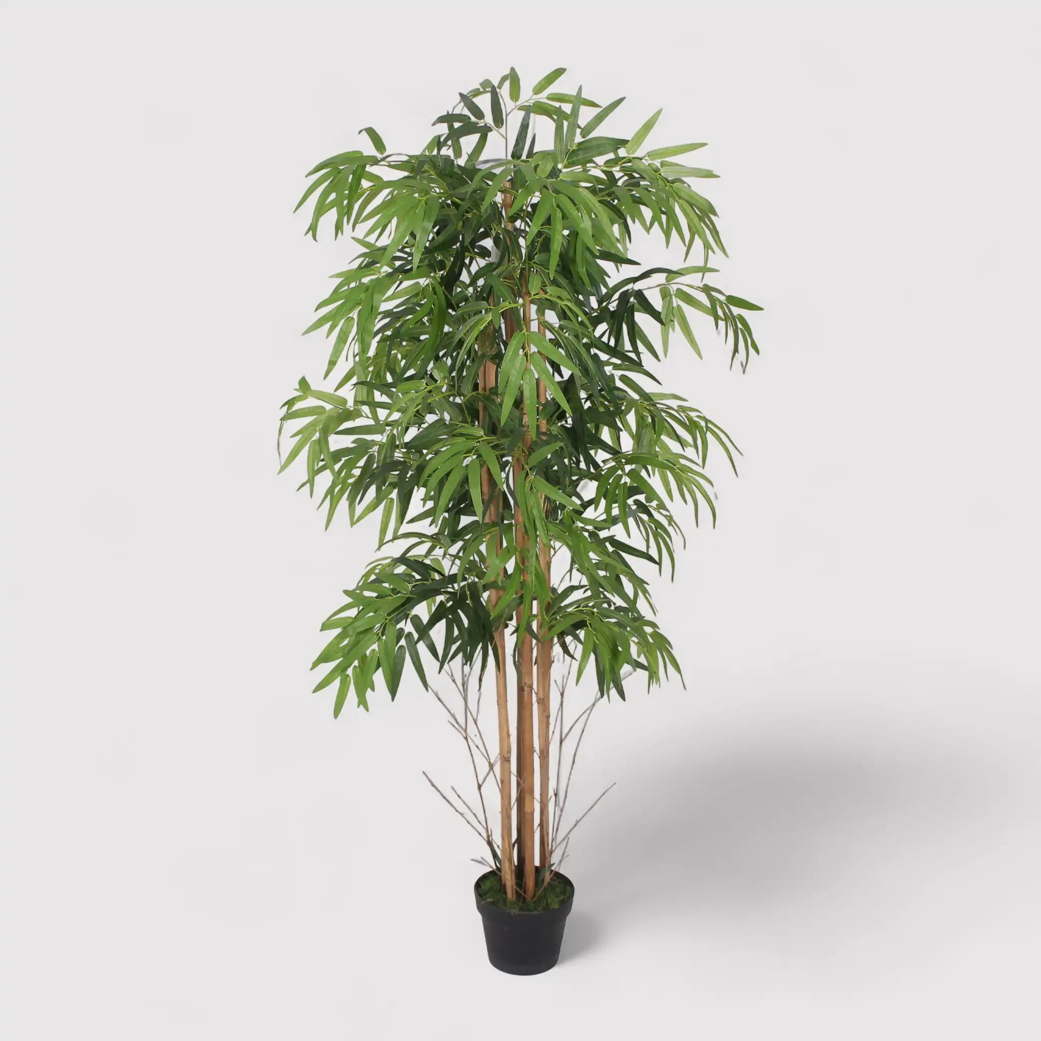 Tukra - Finta pianta di bambù con foglie in poliestere H 150 cm