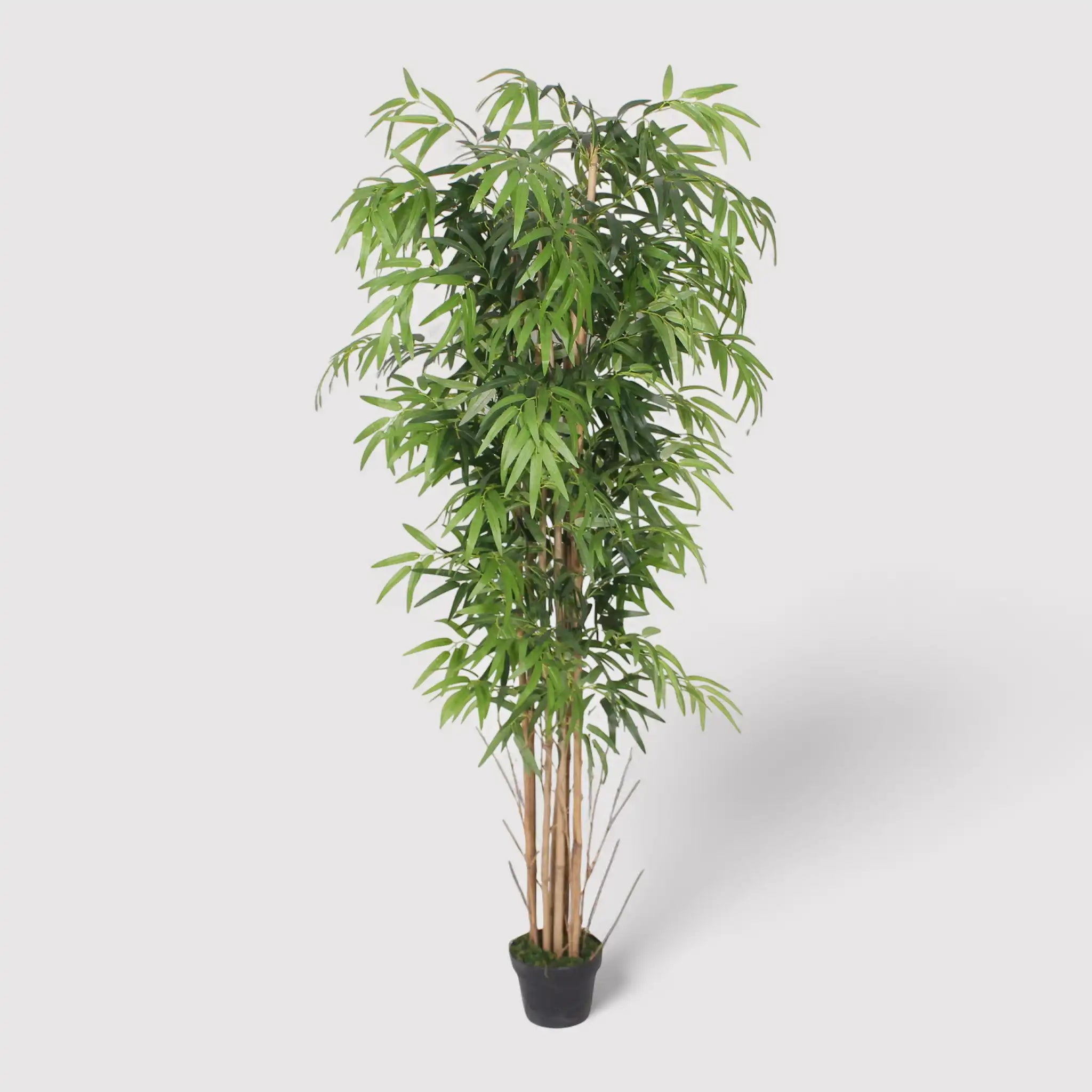 Kauda - Pianta decorativa di bambù con foglie artificiali H 180 cm