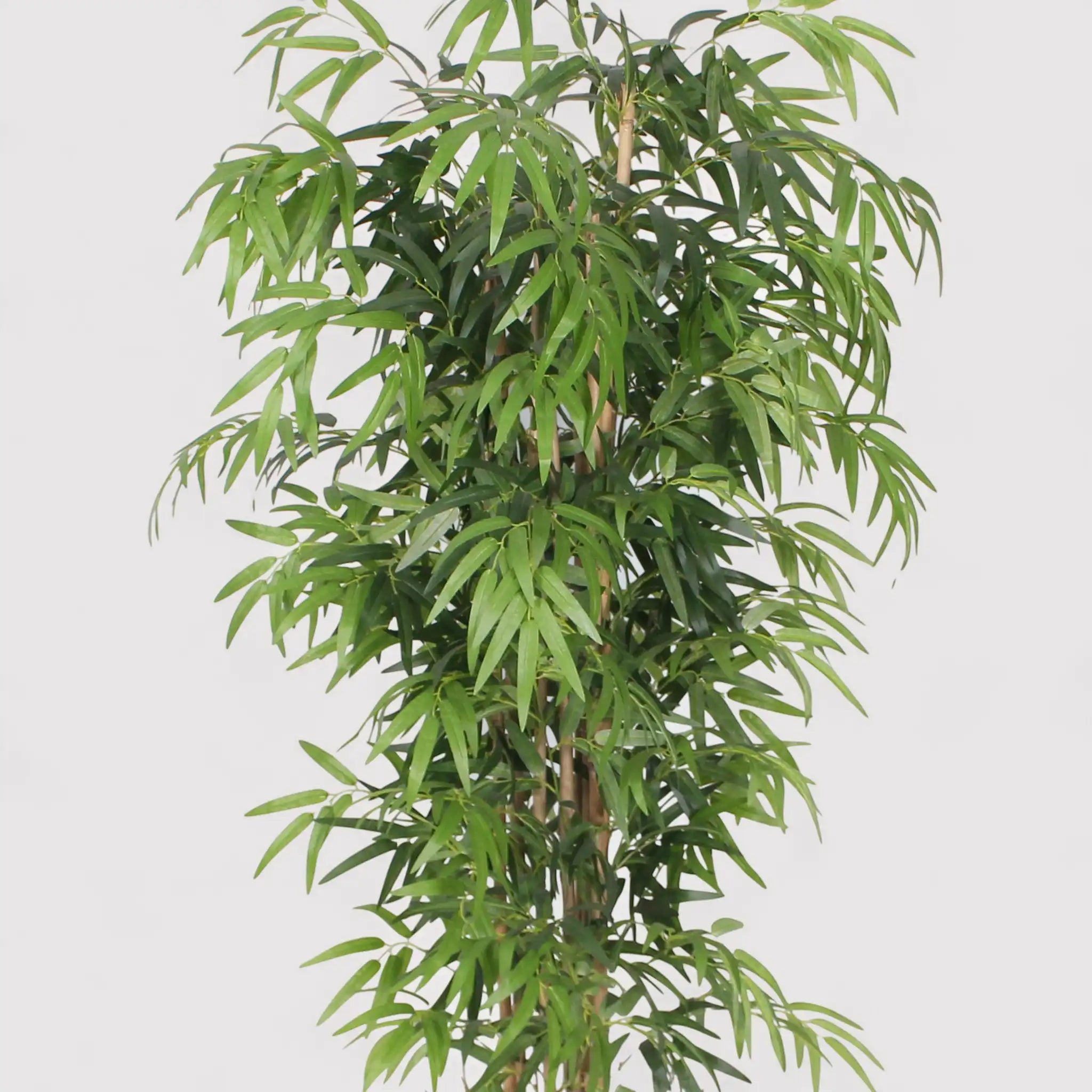 Kauda - Pianta decorativa di bambù con foglie artificiali H 180 cm