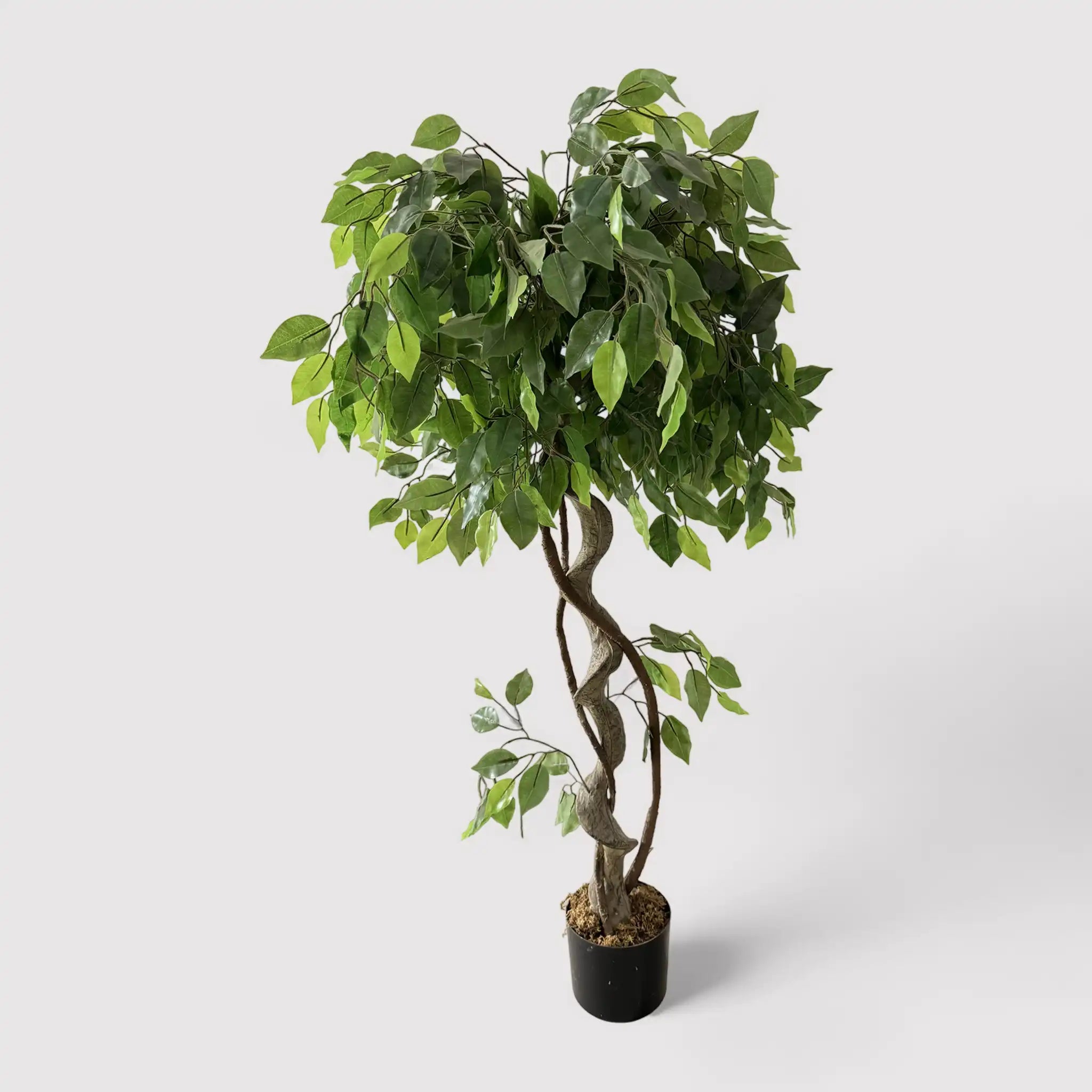 Akdem - Ficus artificiale con foglie in plastica per casa o esterno