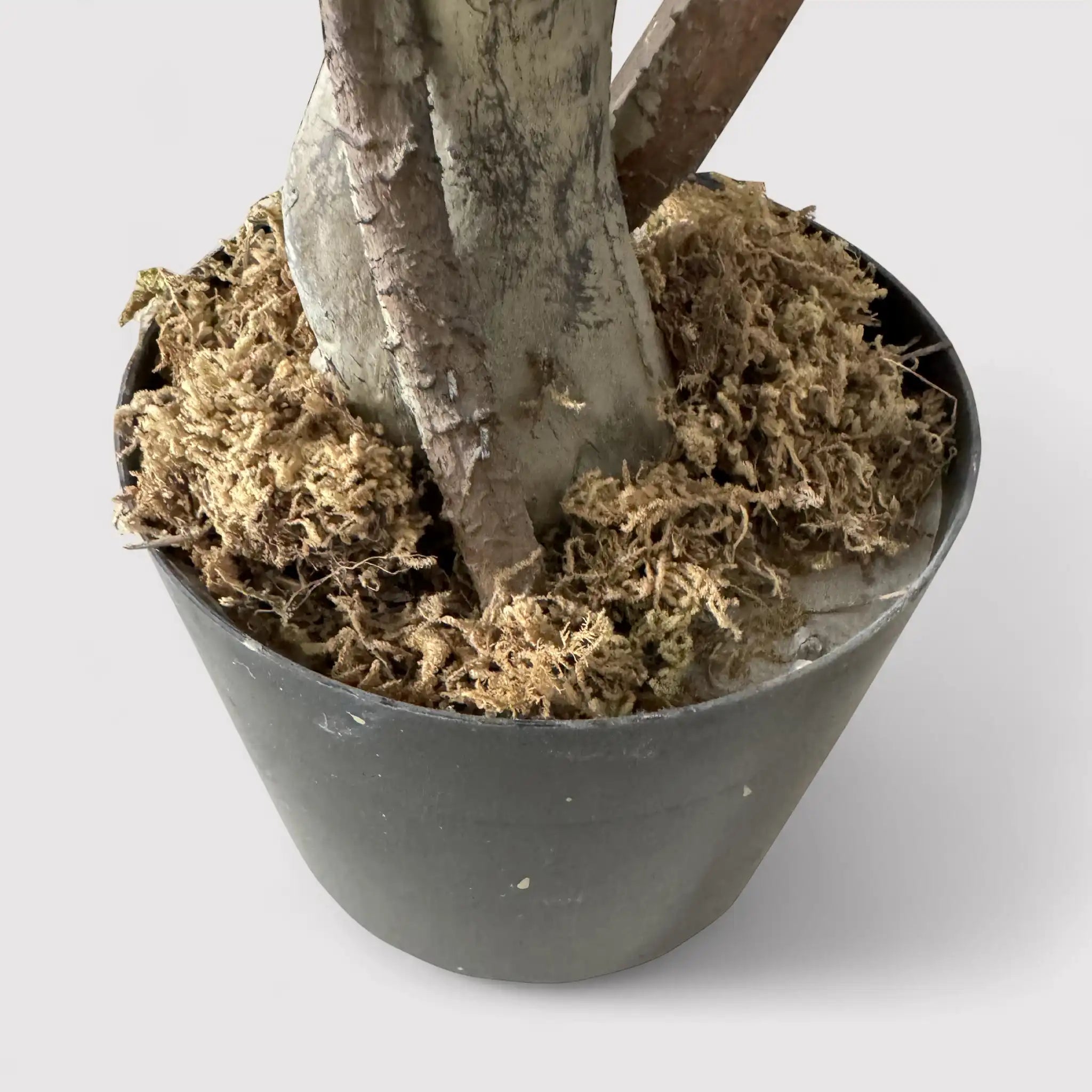 Akdem - Ficus artificiale con foglie in plastica per casa o esterno