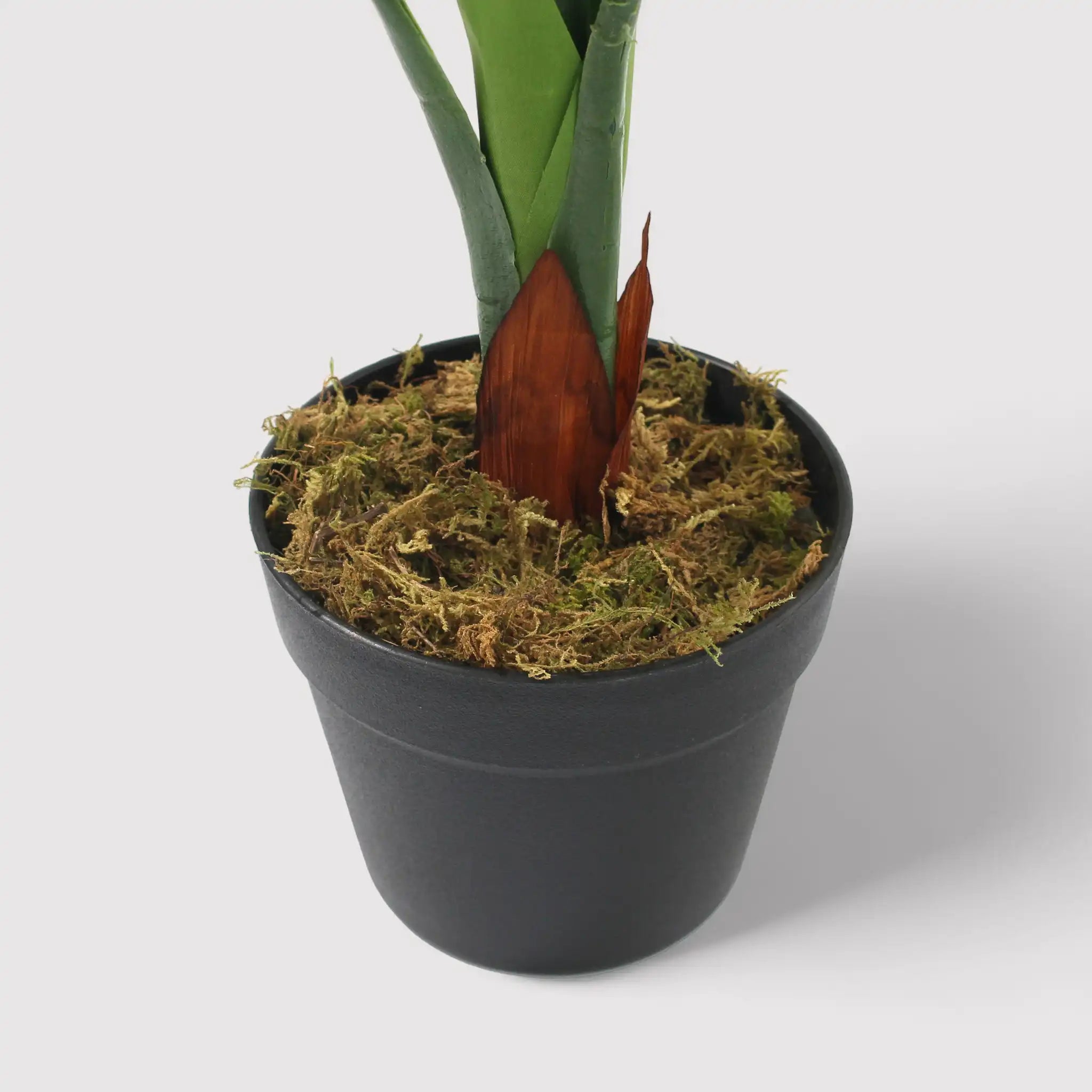 Hieki - Pianta di pothos artificiale con vaso