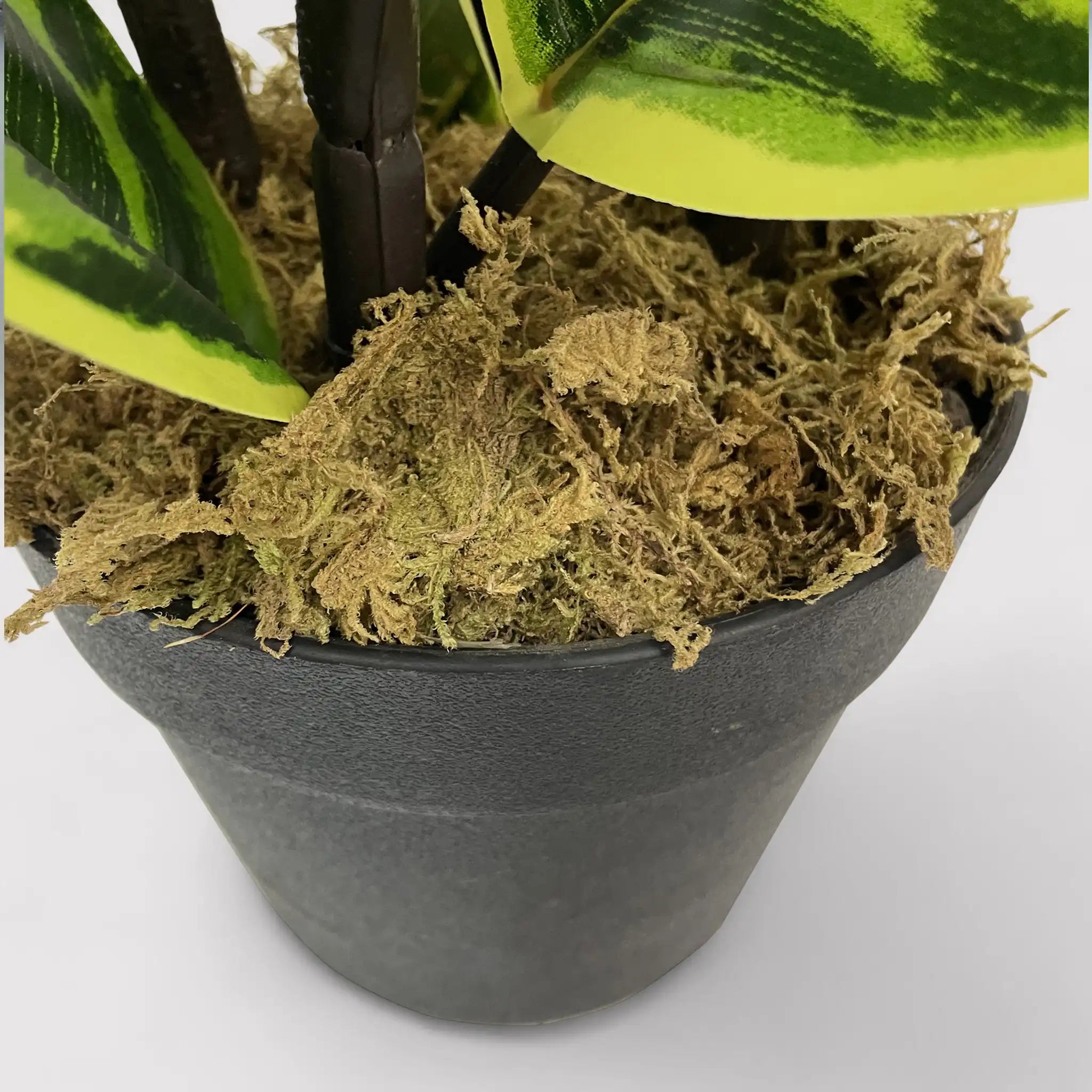 Baishi - Finta pianta di fico indiano per decorazione casa