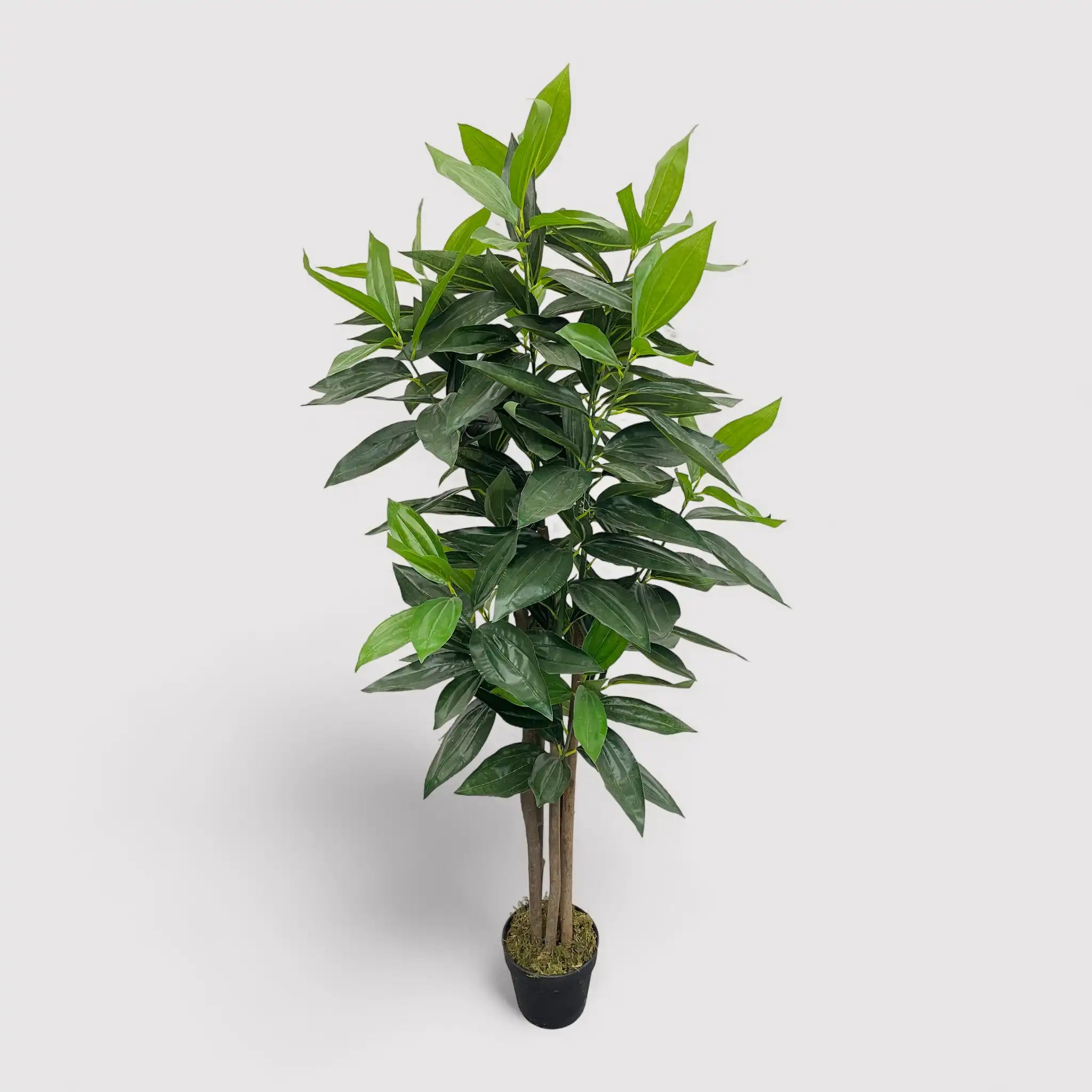 Kori - Pianta di cassia artificiale per decorazione casa o balcone