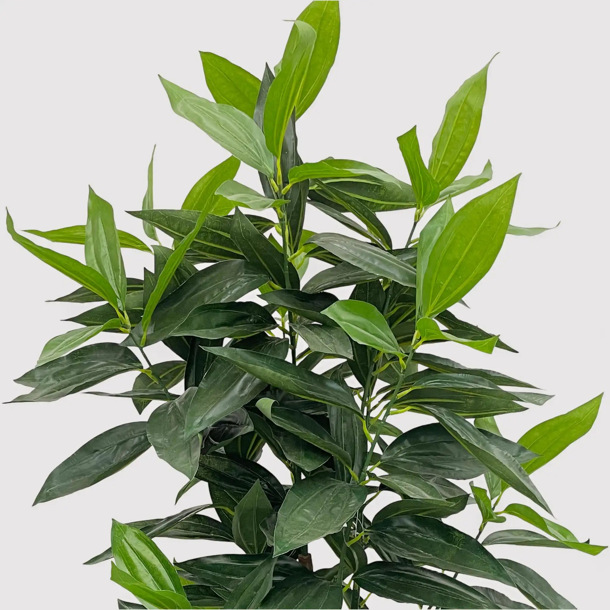 Kori - Pianta di cassia artificiale per decorazione casa o balcone