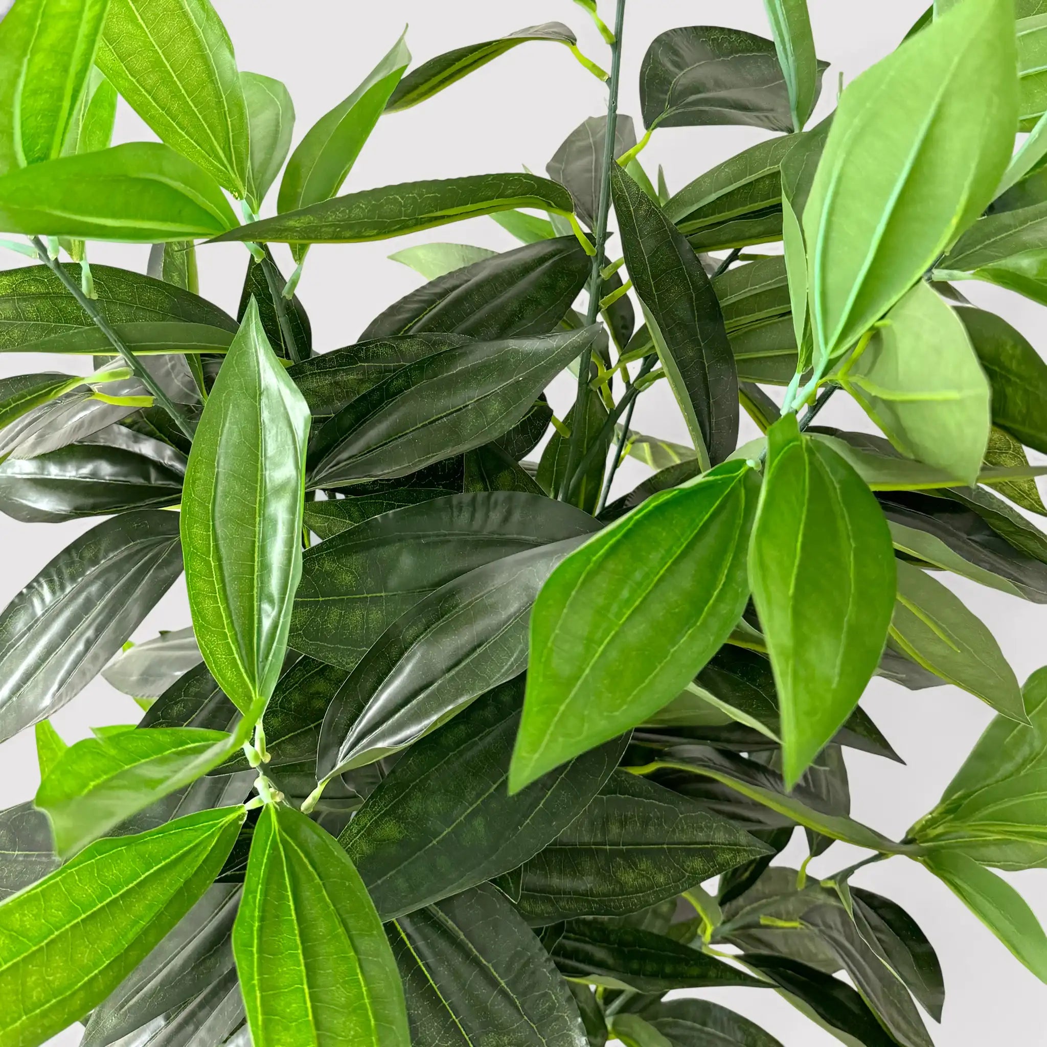 Kori - Pianta di cassia artificiale per decorazione casa o balcone