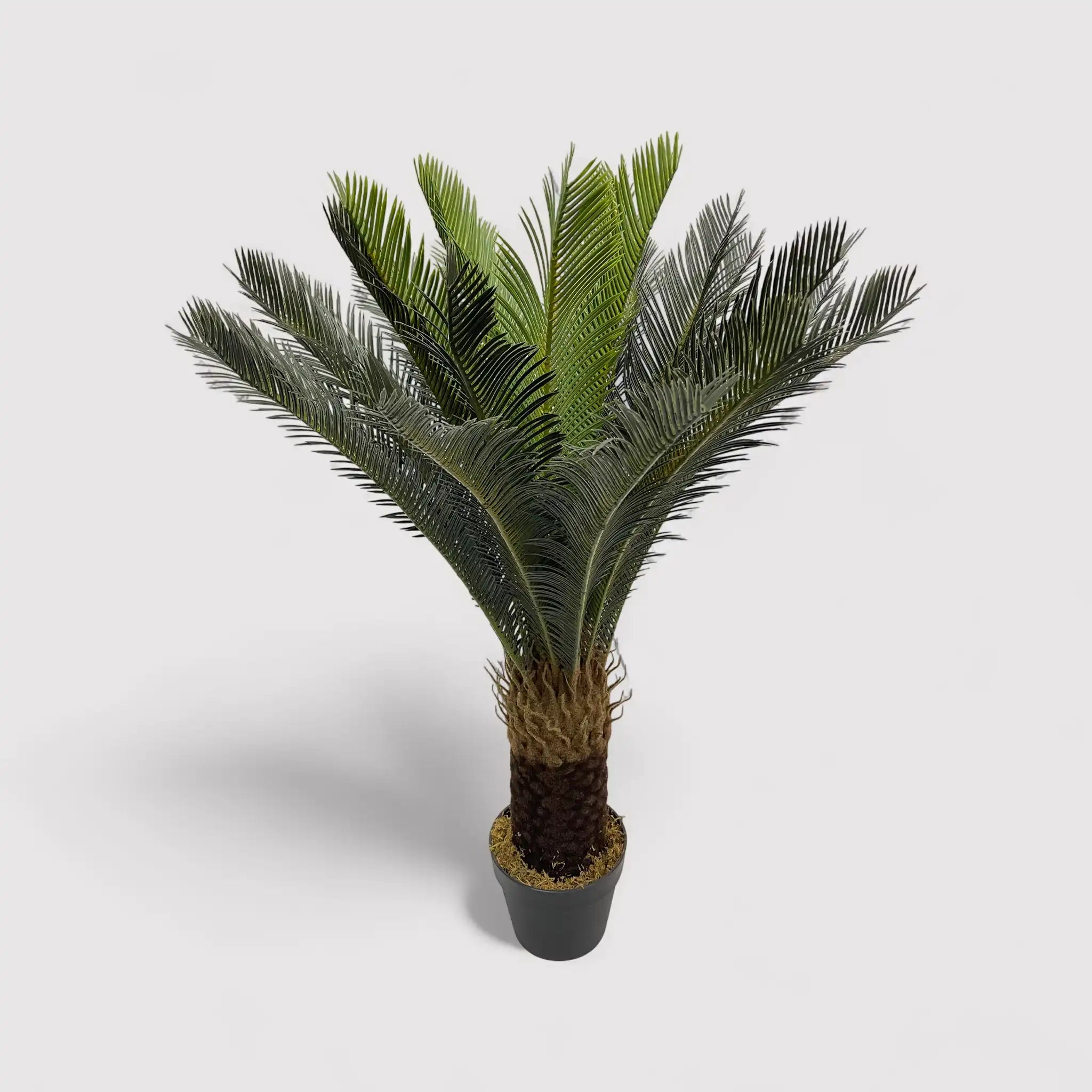Siyar - Pianta di cycas artificiale decorativa in polietilene