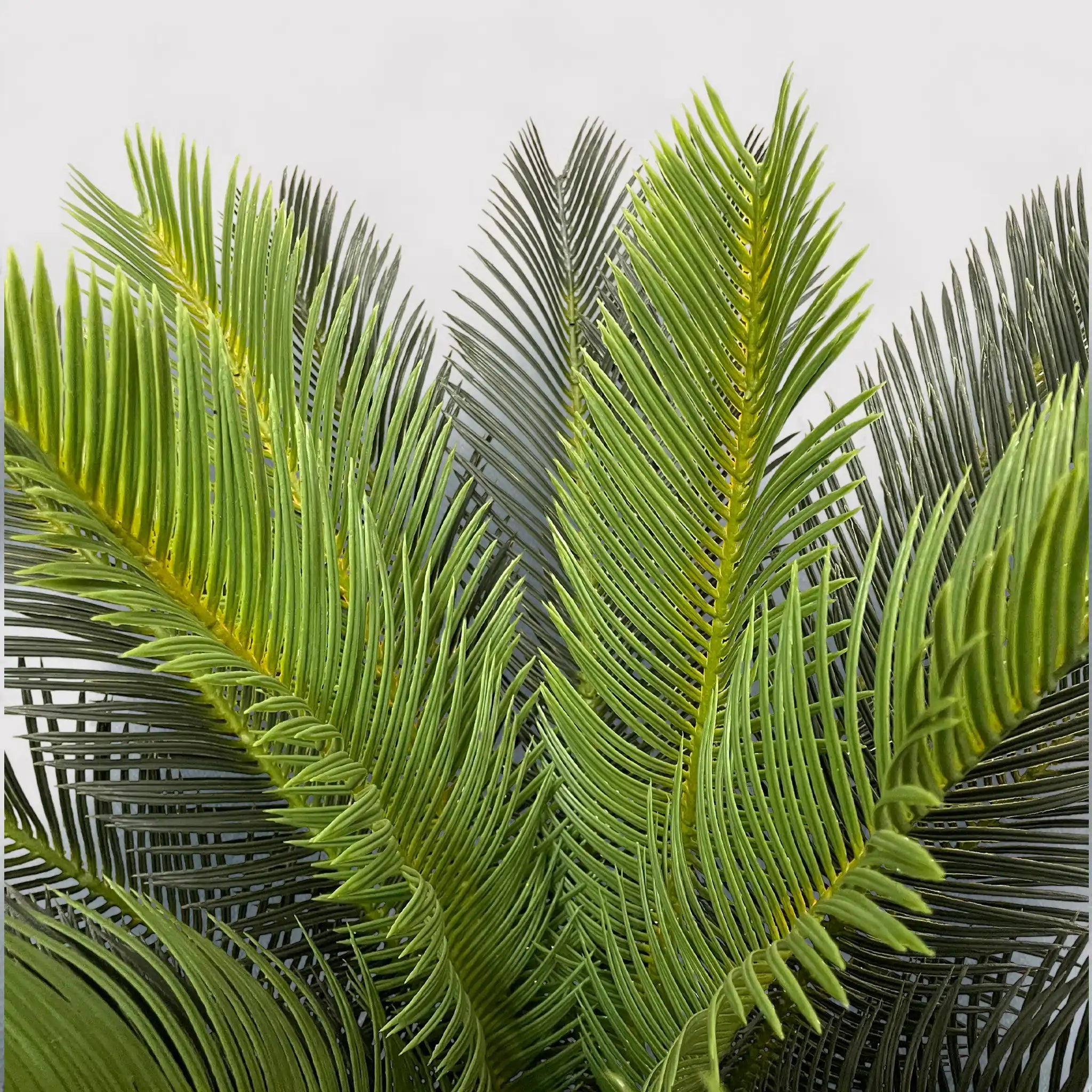 Siyar - Pianta di cycas artificiale decorativa in polietilene