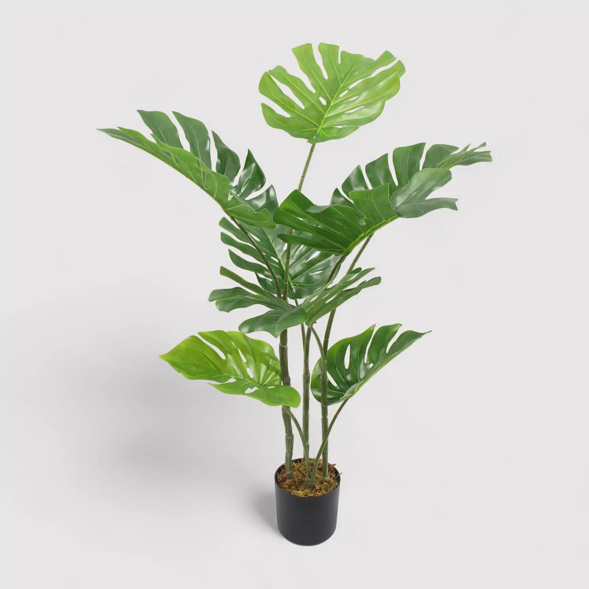 Emas - Pianta di monstera artificiale da arredamento H 90 cm