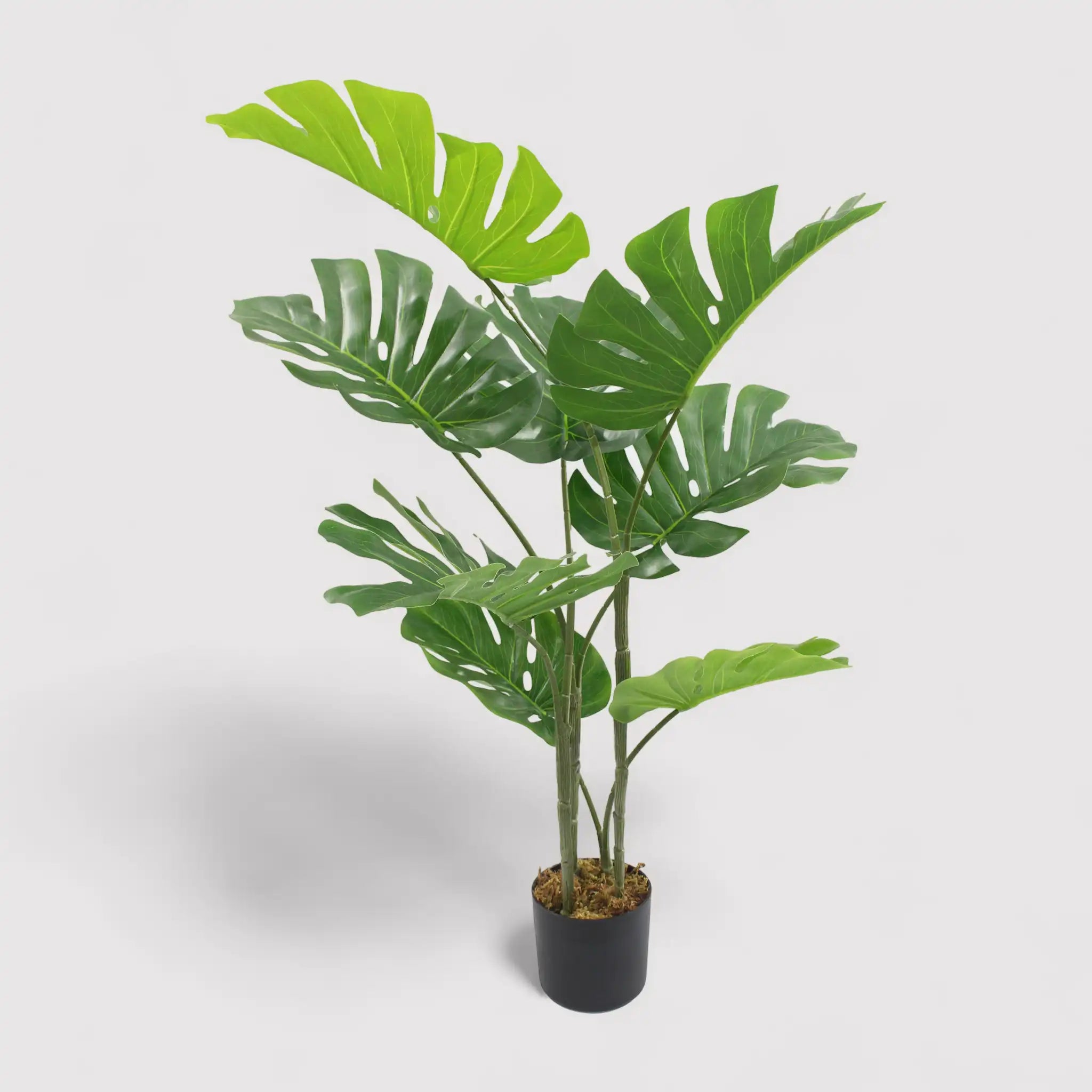 Emas - Pianta di monstera artificiale da arredamento H 90 cm