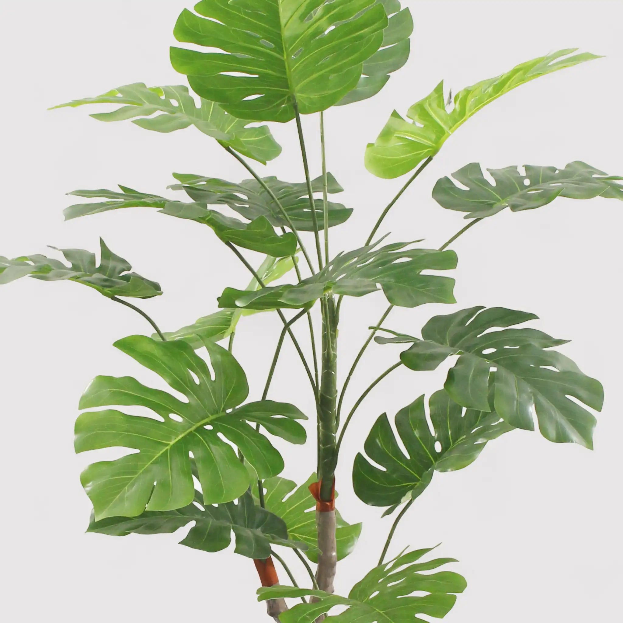Merah - Finta monstera ornamentale e realistica H 155 cm