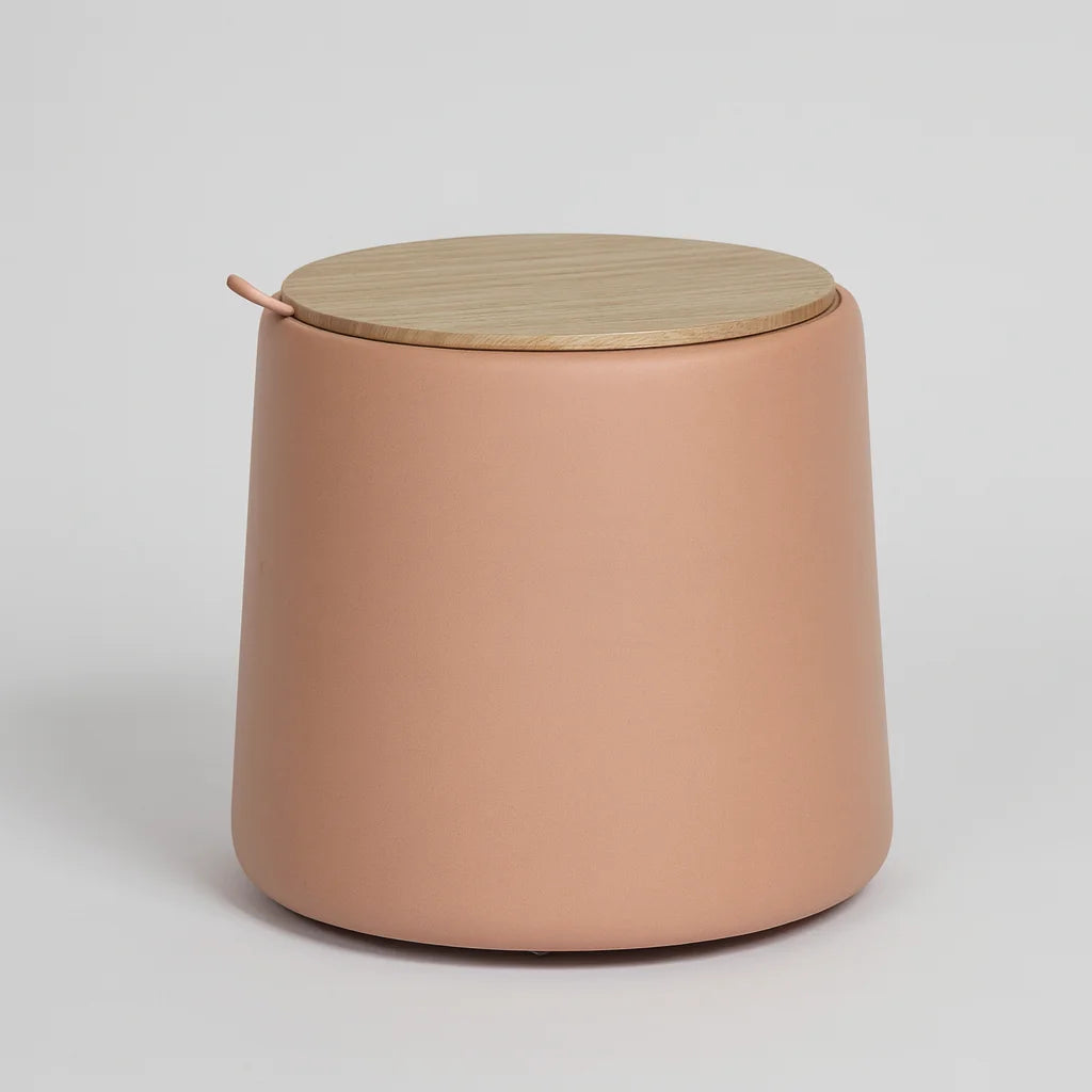 Lisianthus – Moderner Rosa Sitzhocker mit Stauraum aus PU mit MDF-Holzrahmen