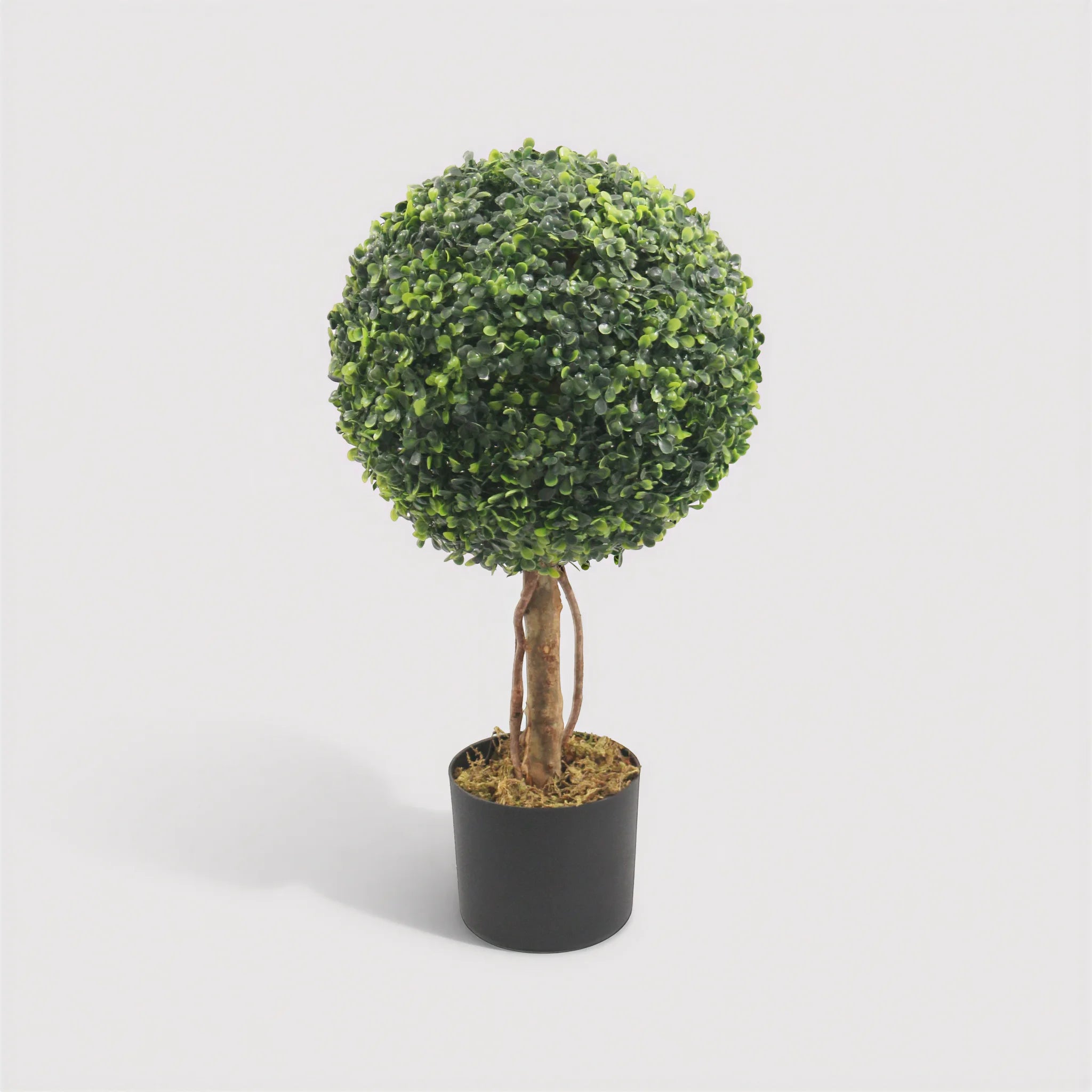 Nayem - Künstliche Buchsbaum Pflanze aus PVC & PE mit Metallstiel und Zementbasis, Grün und Braun