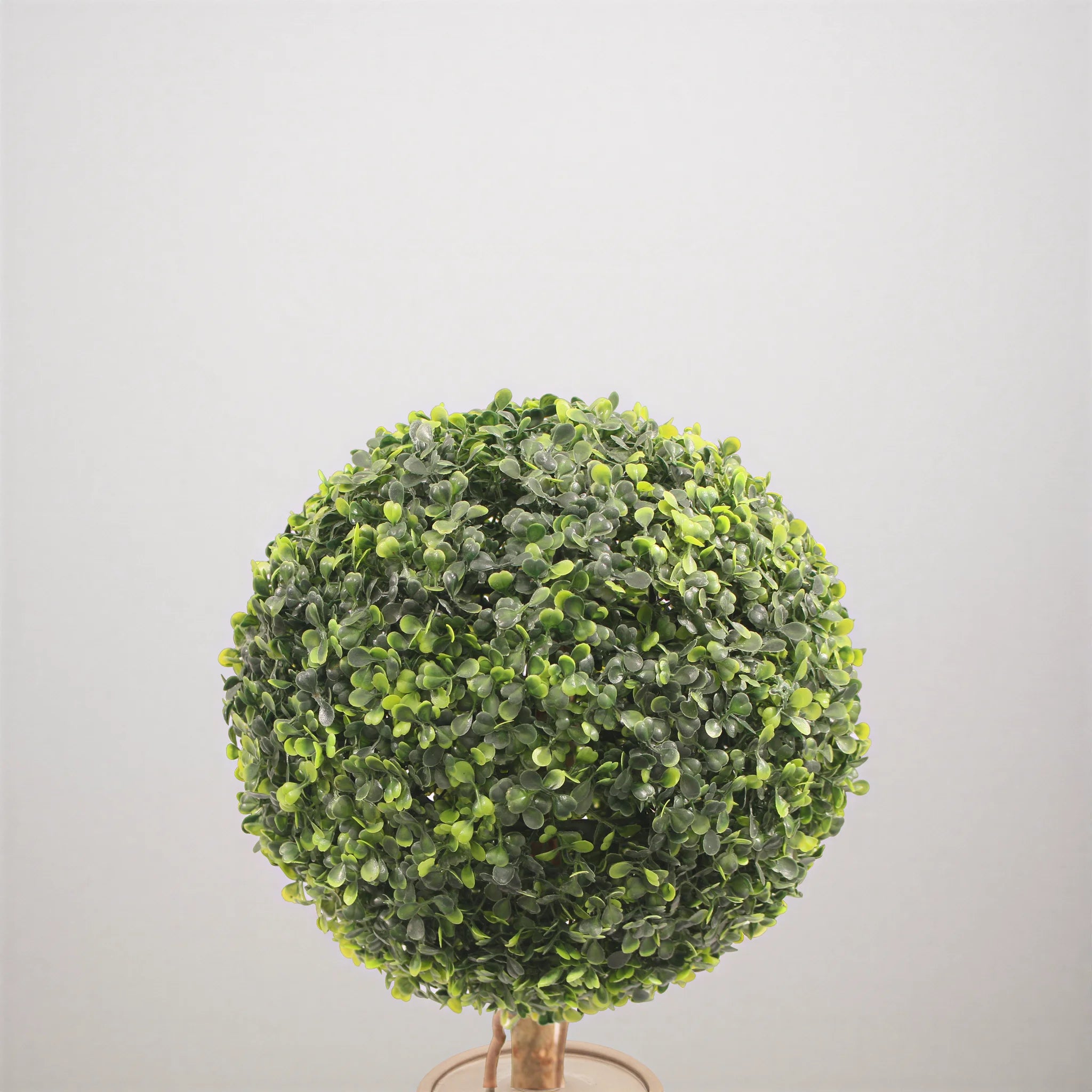 Nayem - Artificial Boxwood Plant in PVC & PE with Metal Stem and Cement Base, Green and Brown