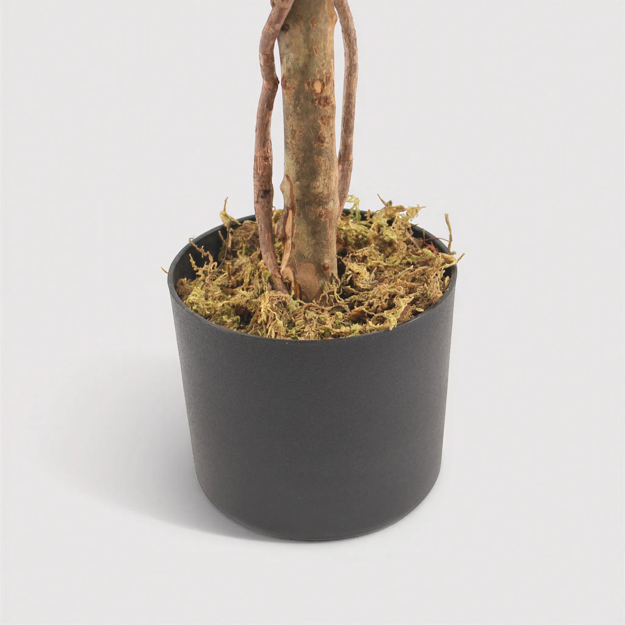 Nayem - Artificial Boxwood Plant in PVC & PE with Metal Stem and Cement Base, Green and Brown