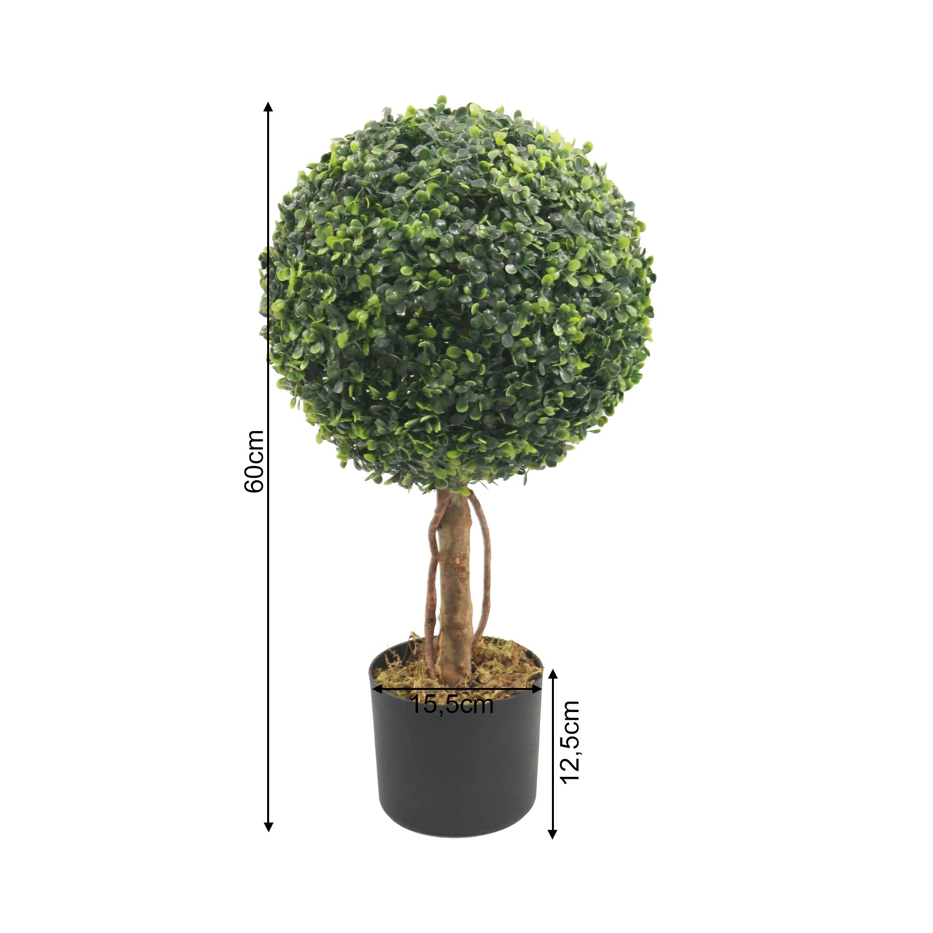 Nayem - Artificial Boxwood Plant in PVC & PE with Metal Stem and Cement Base, Green and Brown