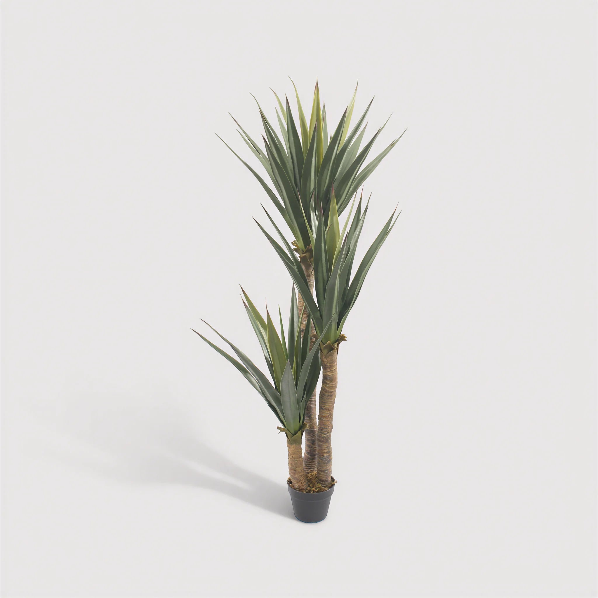 Talek - Künstliche Yucca Pflanze aus PVC & PE mit Metallstiel und Zementbasis, Grün und Braun