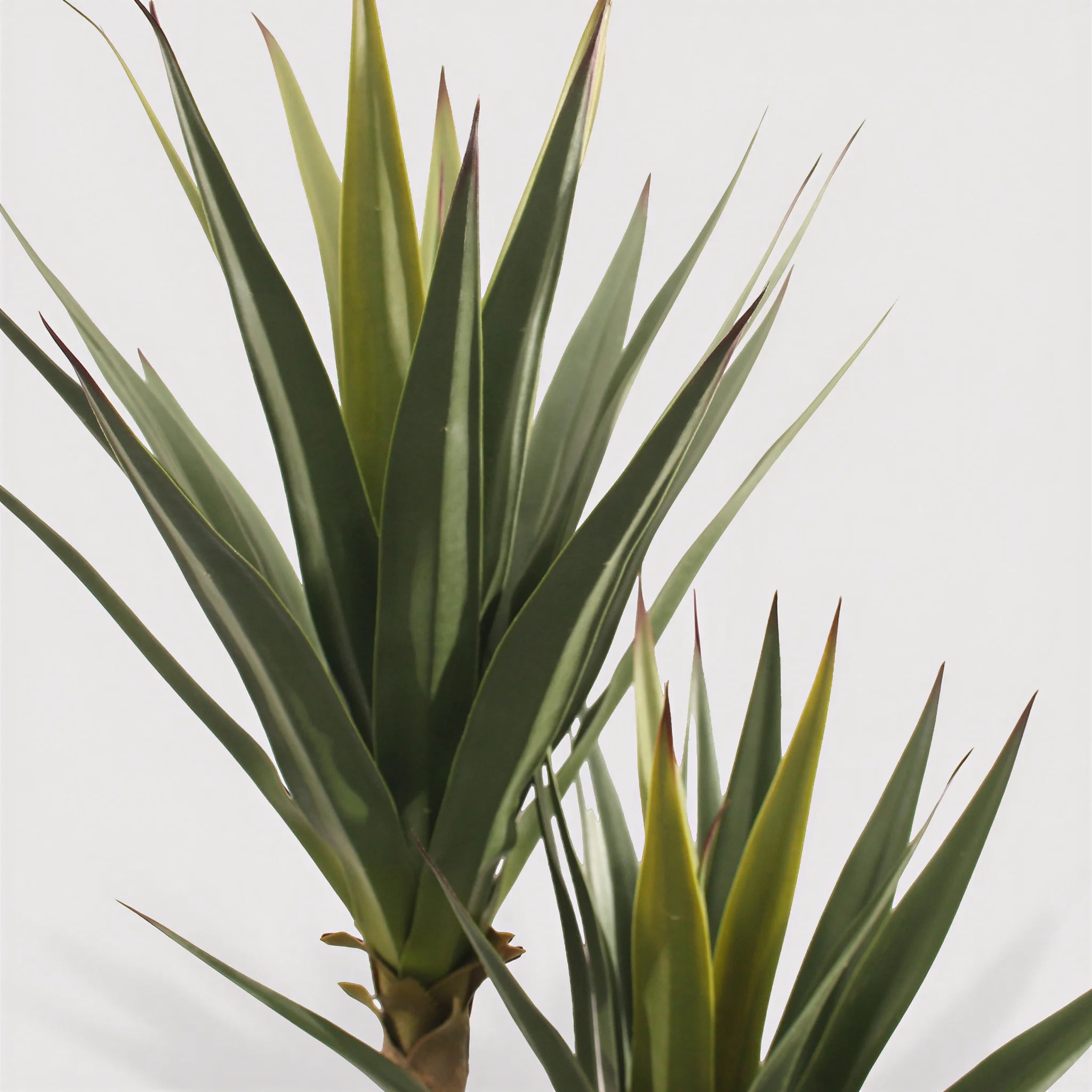 Talek - Künstliche Yucca Pflanze aus PVC & PE mit Metallstiel und Zementbasis, Grün und Braun