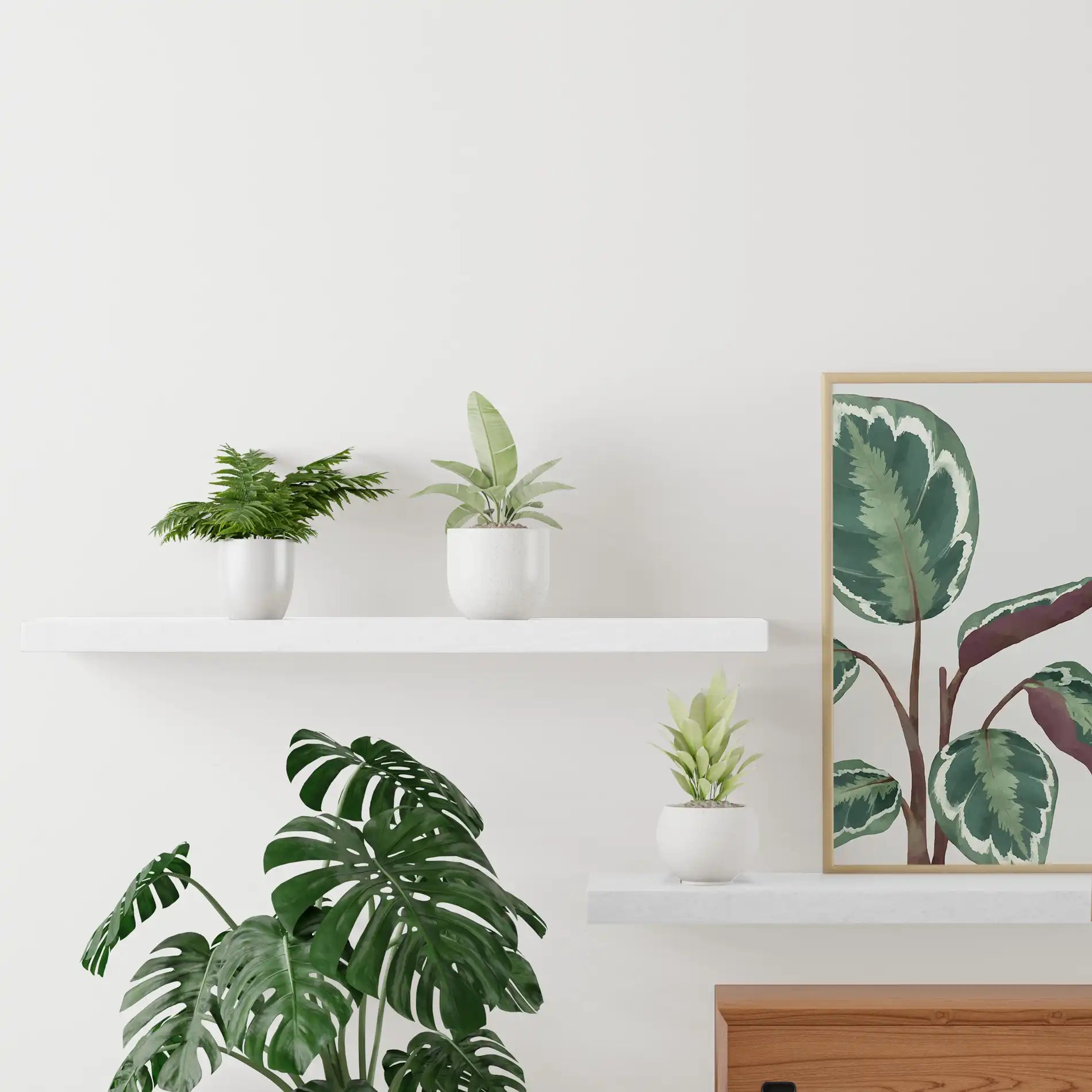 Stramonio - Set di 2 ripiani da parete bianchi in stile moderno