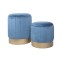 Cedrela - Set of 2 blue ottomans with...