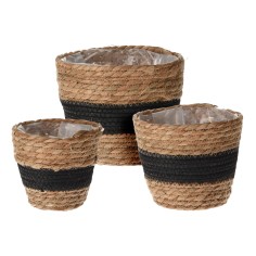 Nopal - Conjunto de 3 cestas para plantas para uso en interiores o exteriores