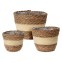 Cattleya - Set of 3 round pot holders...