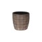 Manihot - Small pot for plants in...