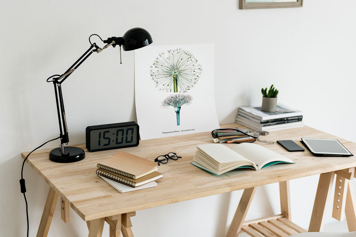 Arredare lo studio in casa: crea il tuo home office da sogno