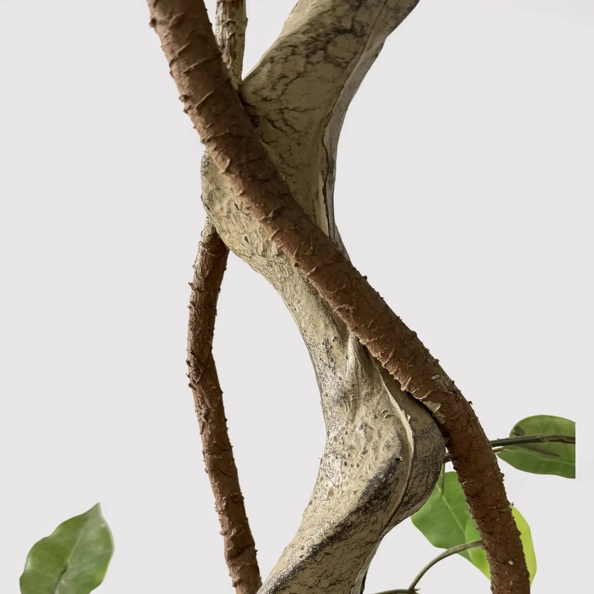 Akdem - Ficus artificiale con foglie in plastica per casa o esterno