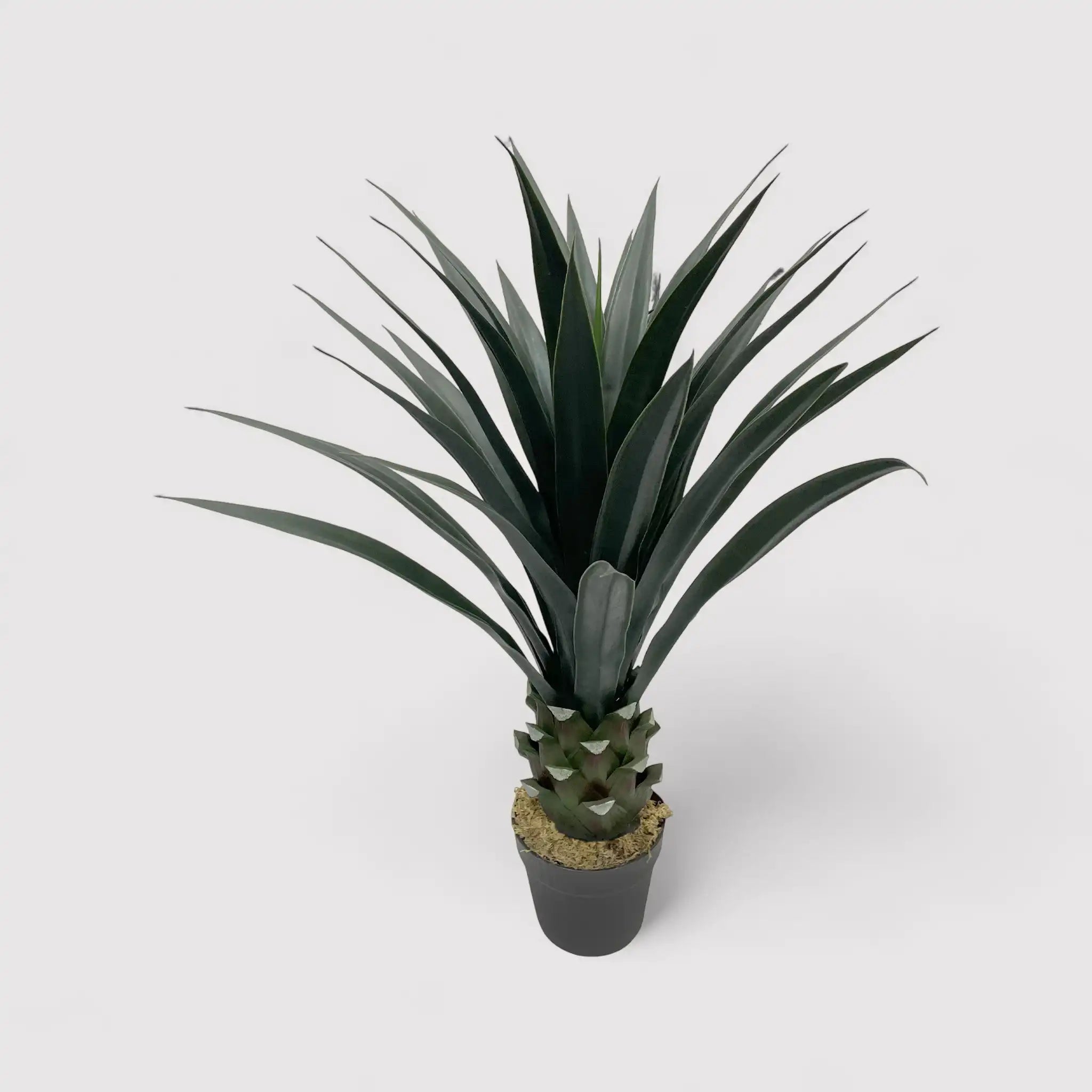 Sunko - Yucca artificiale in polietilene per casa o esterno