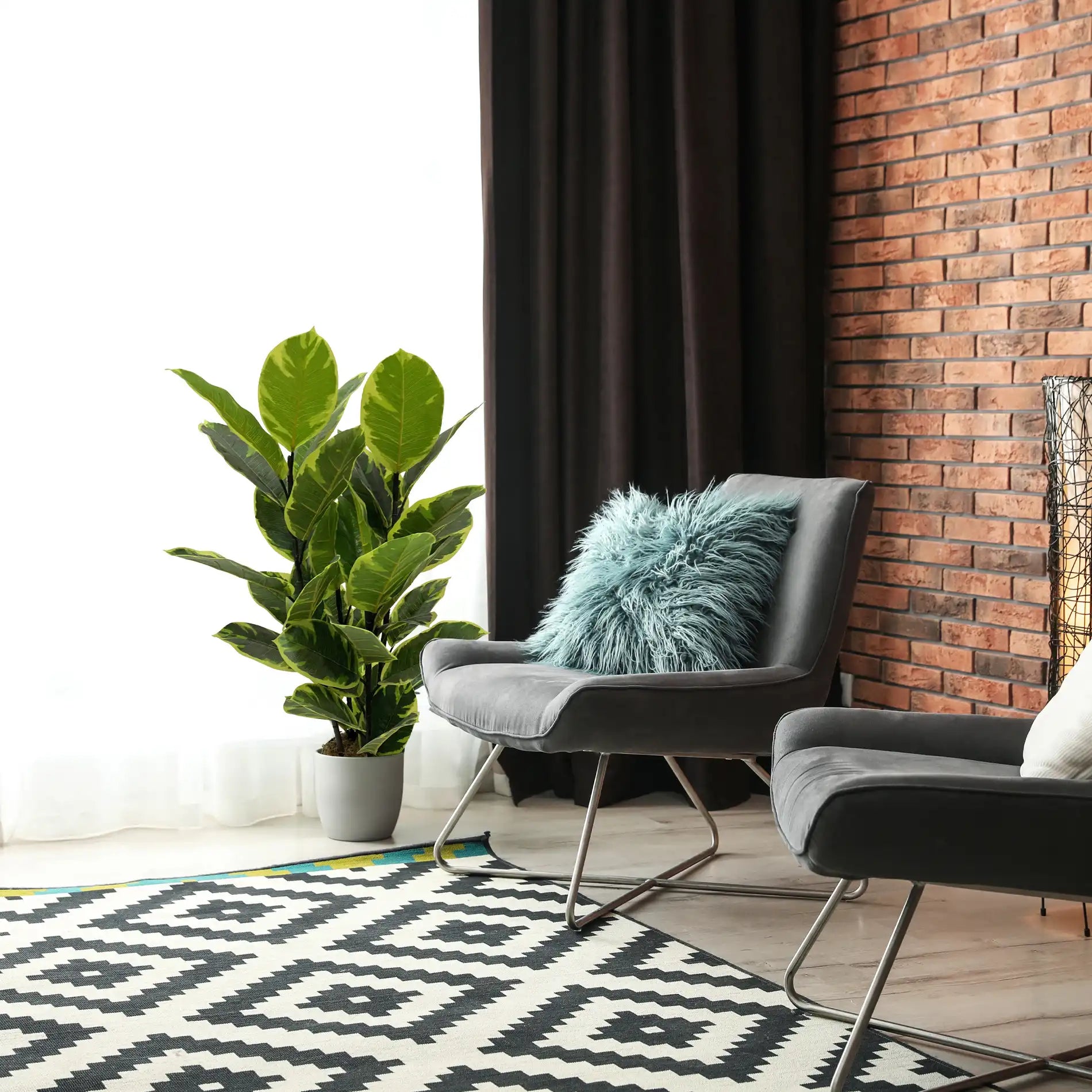 Baishi - Finta pianta di fico indiano per decorazione casa