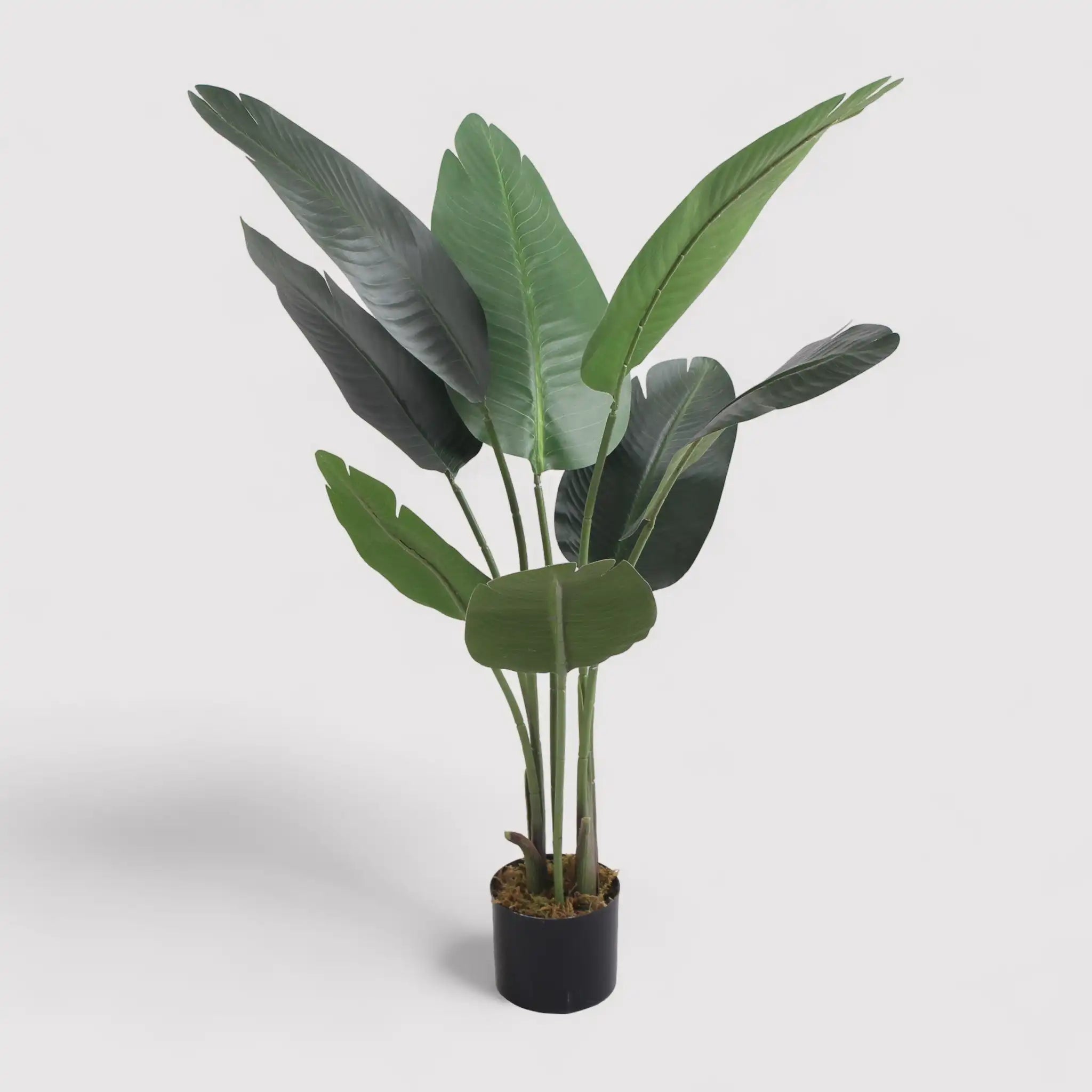 Taznit - Banano artificiale ornamentale per interno o esterno