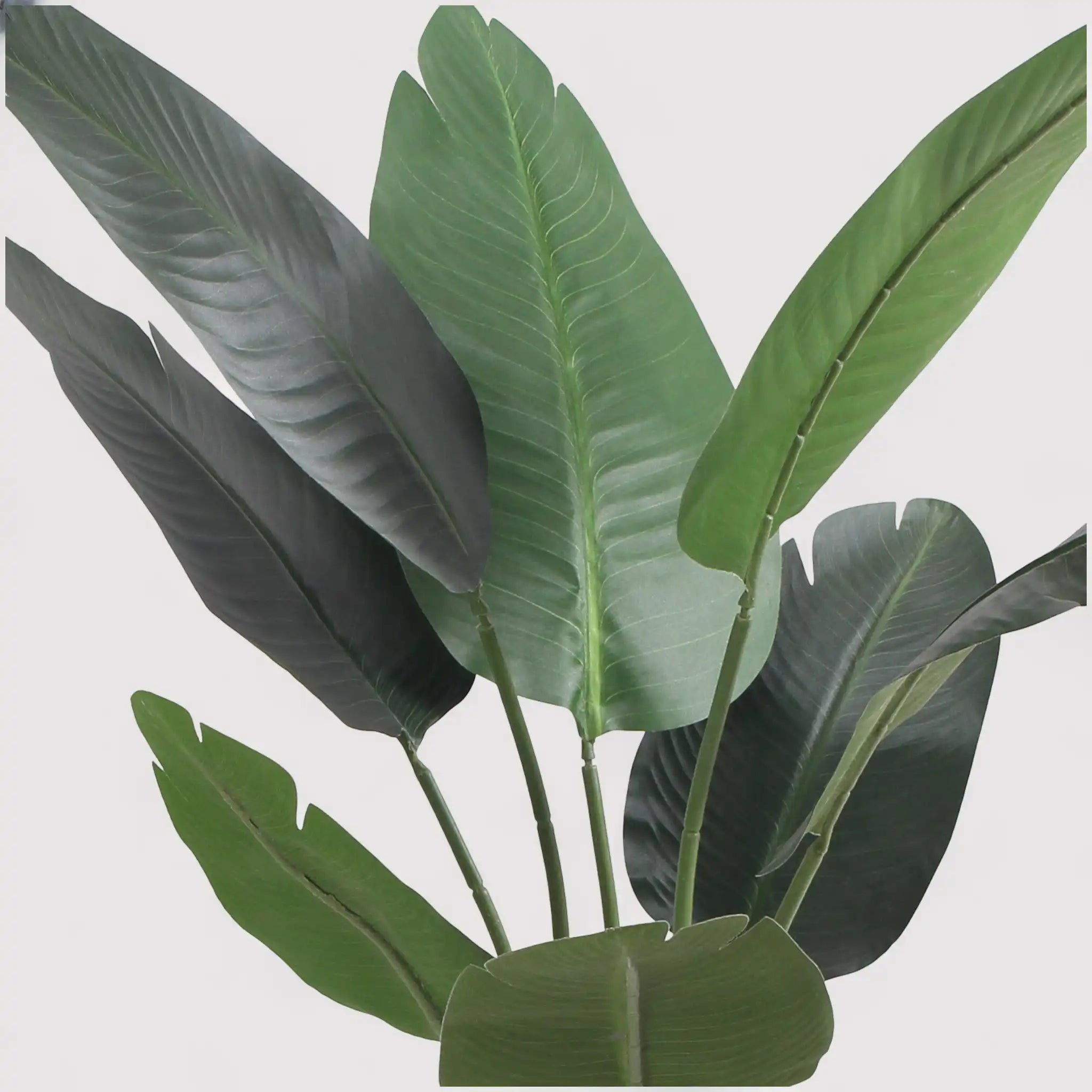 Taznit - Banano artificiale ornamentale per interno o esterno