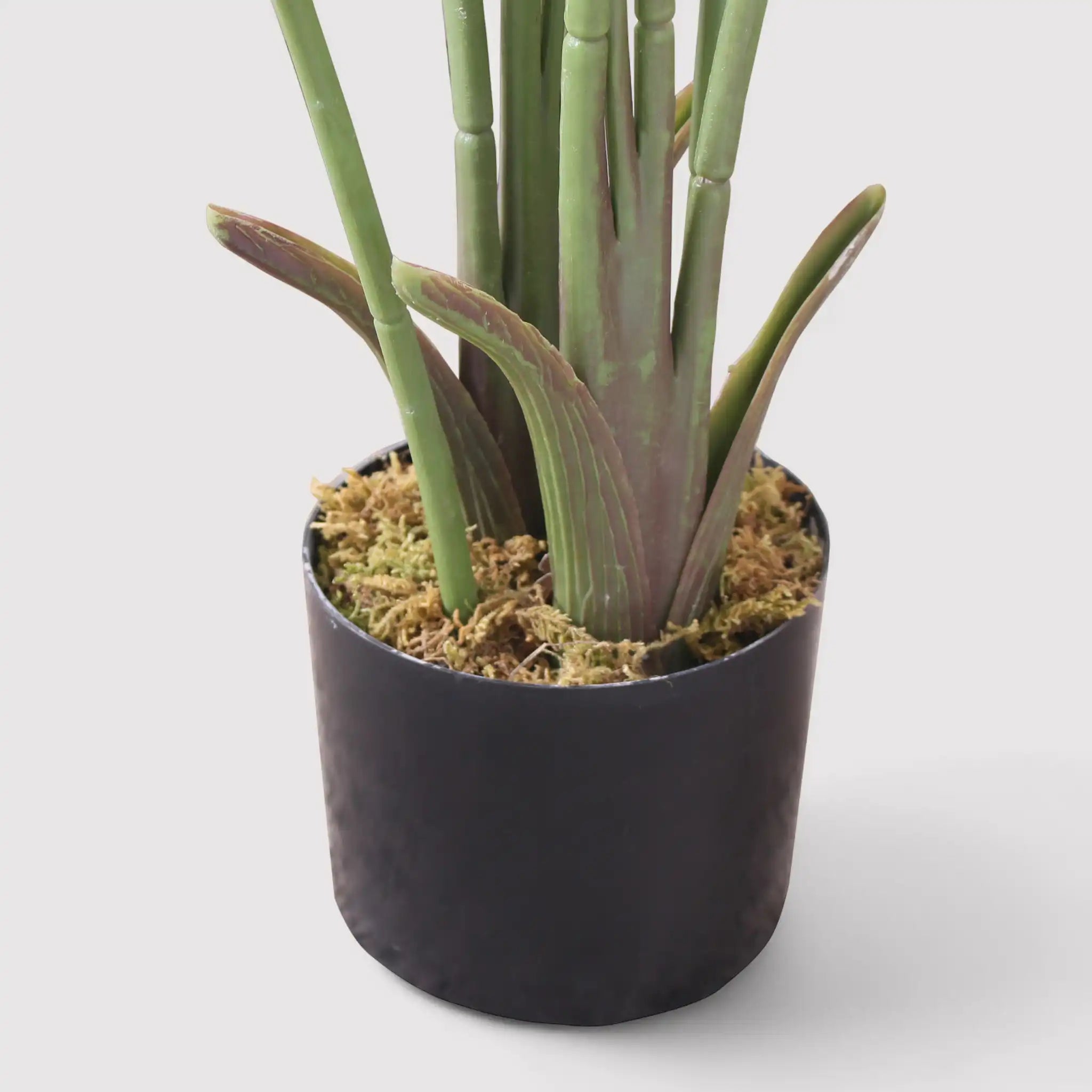 Taznit - Banano artificiale ornamentale per interno o esterno