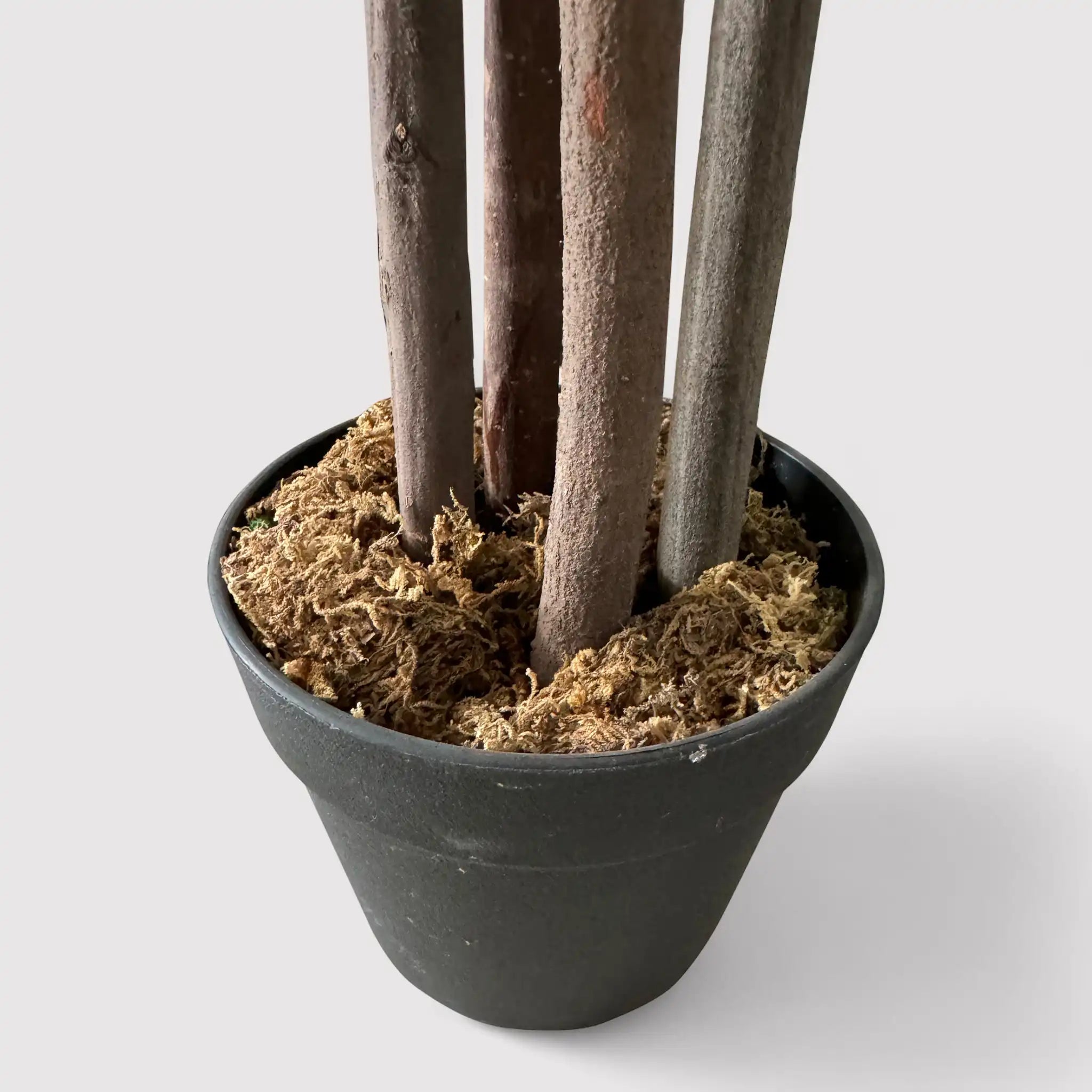 Kori - Pianta di cassia artificiale per decorazione casa o balcone