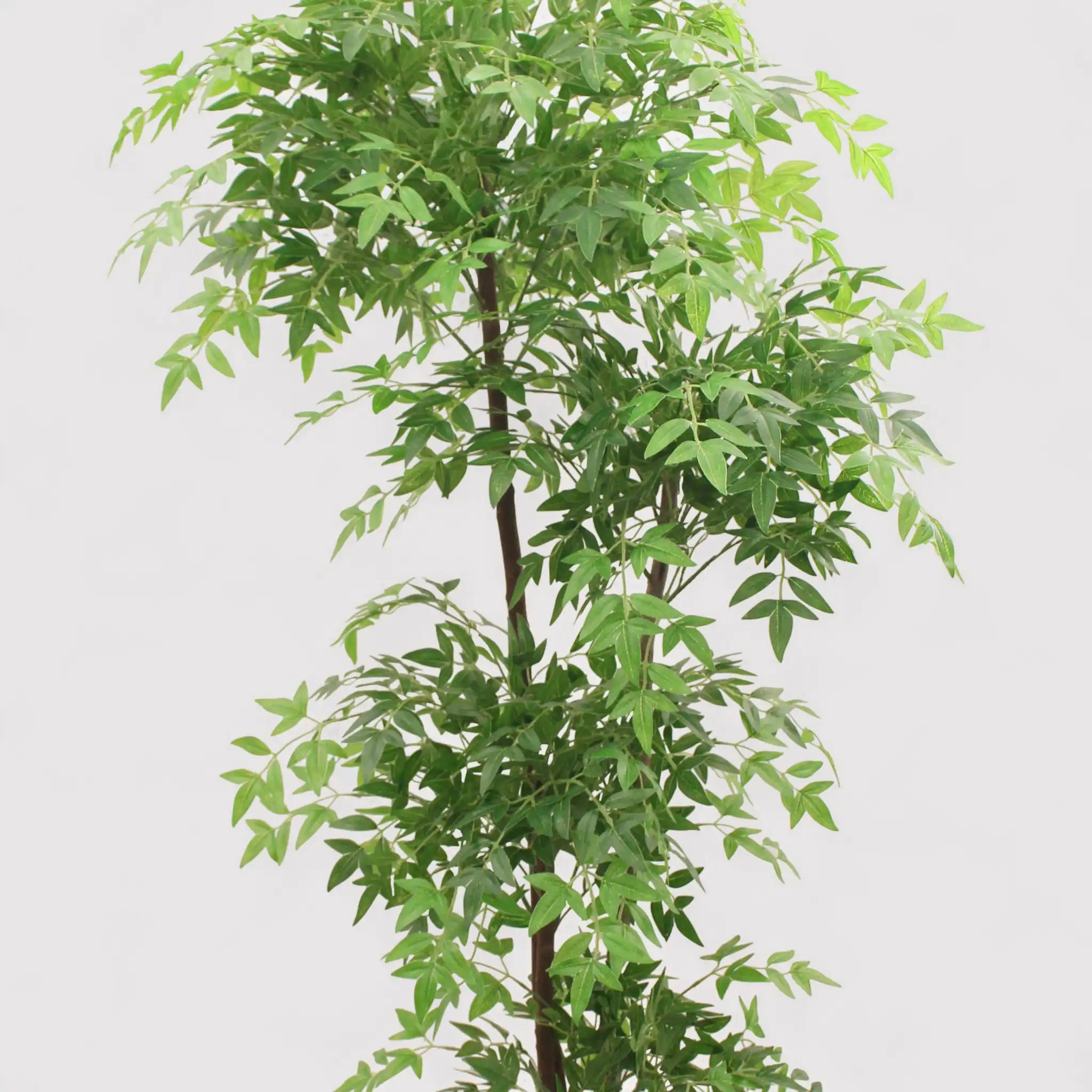 Zamrud - Nandina artificiale con vaso per casa o esterno