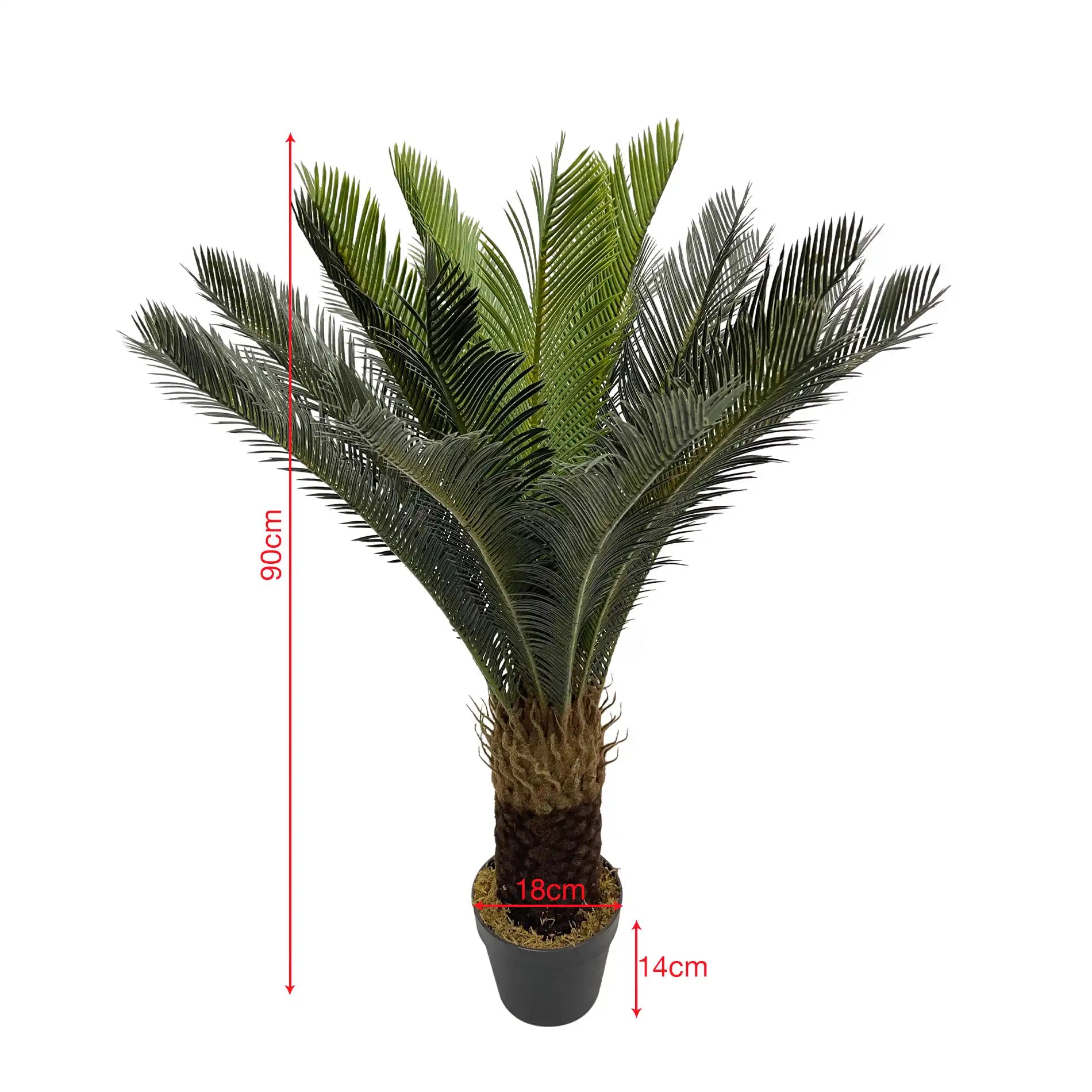 Siyar - Pianta di cycas artificiale decorativa in polietilene