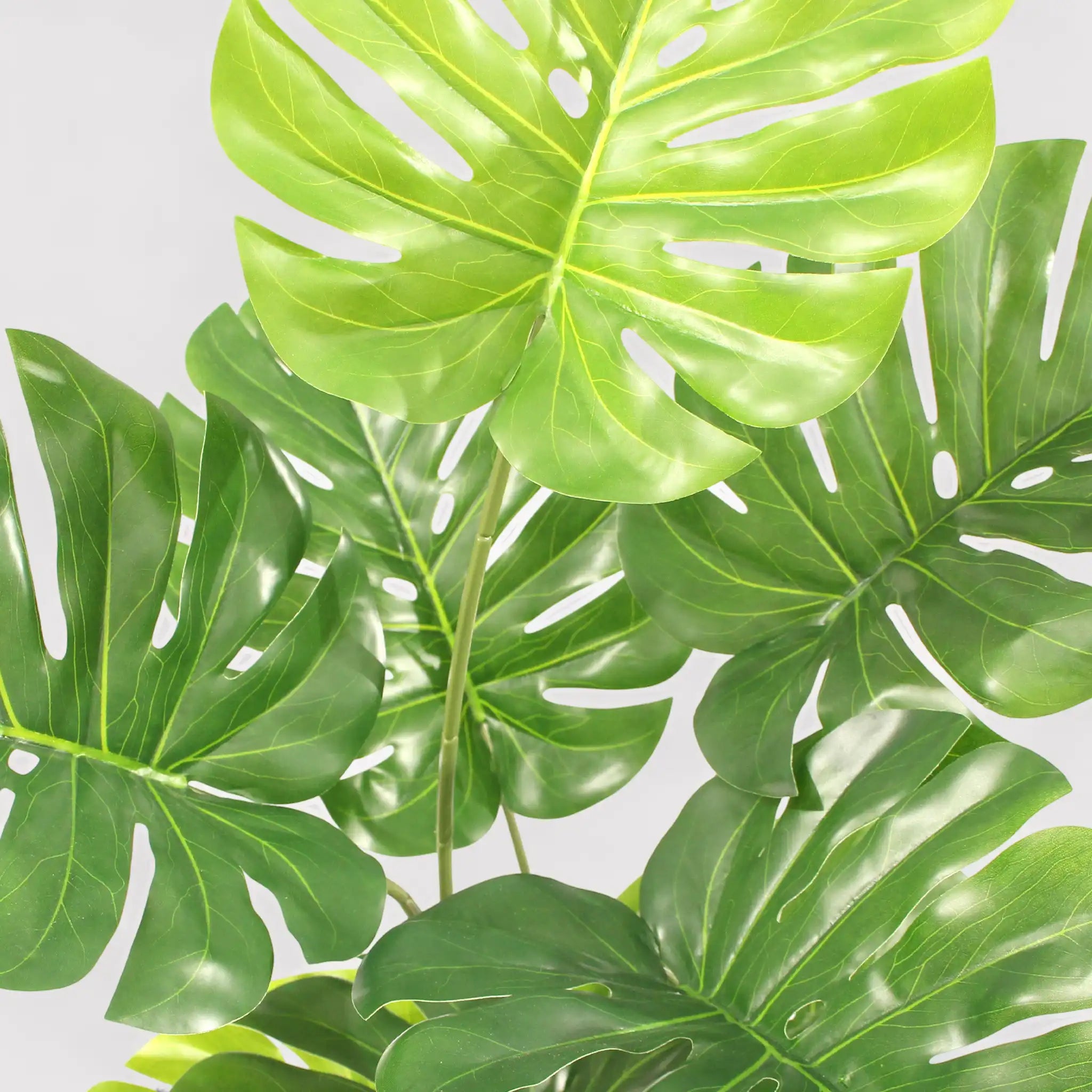 Emas - Pianta di monstera artificiale da arredamento H 90 cm