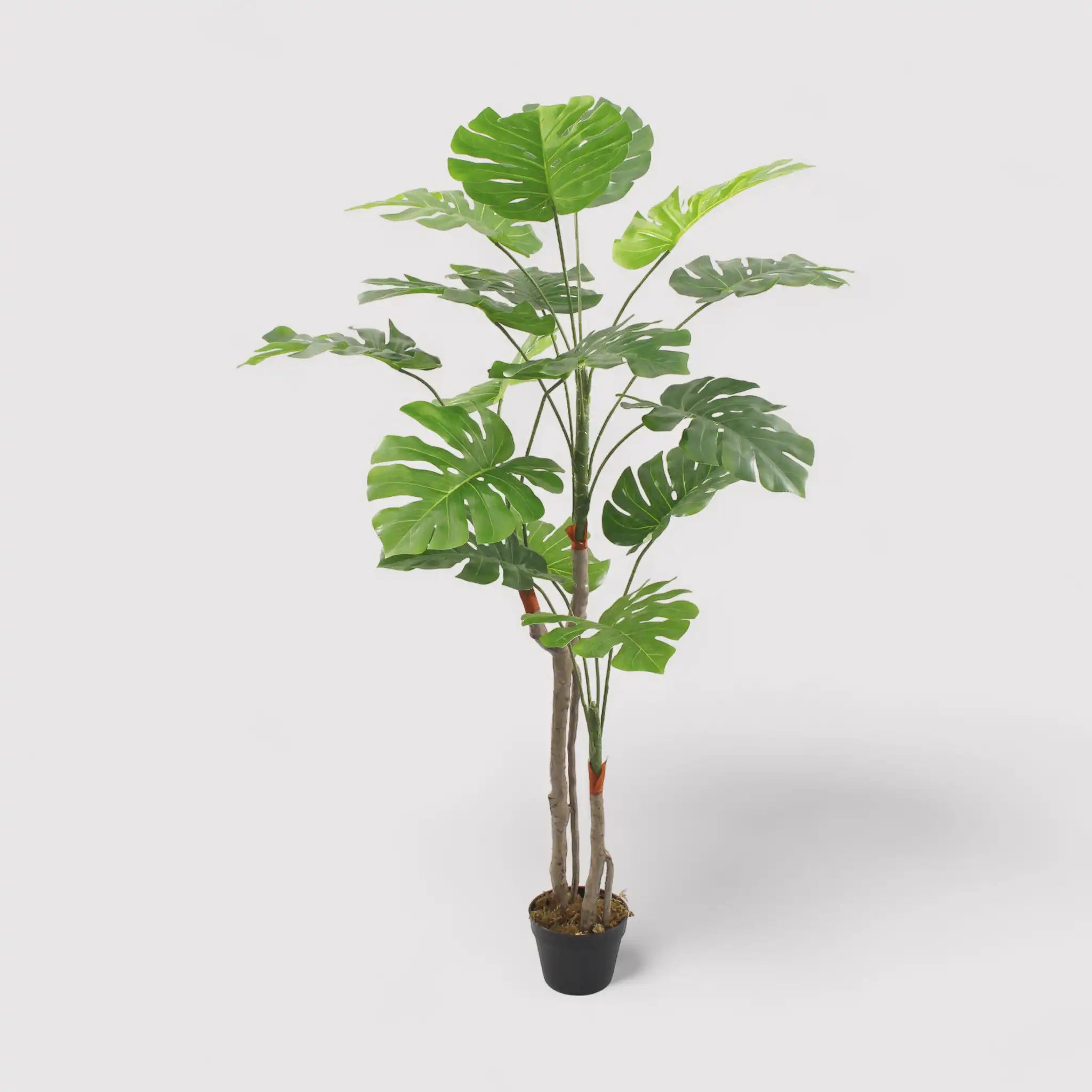 Merah - Finta monstera ornamentale e realistica H 155 cm