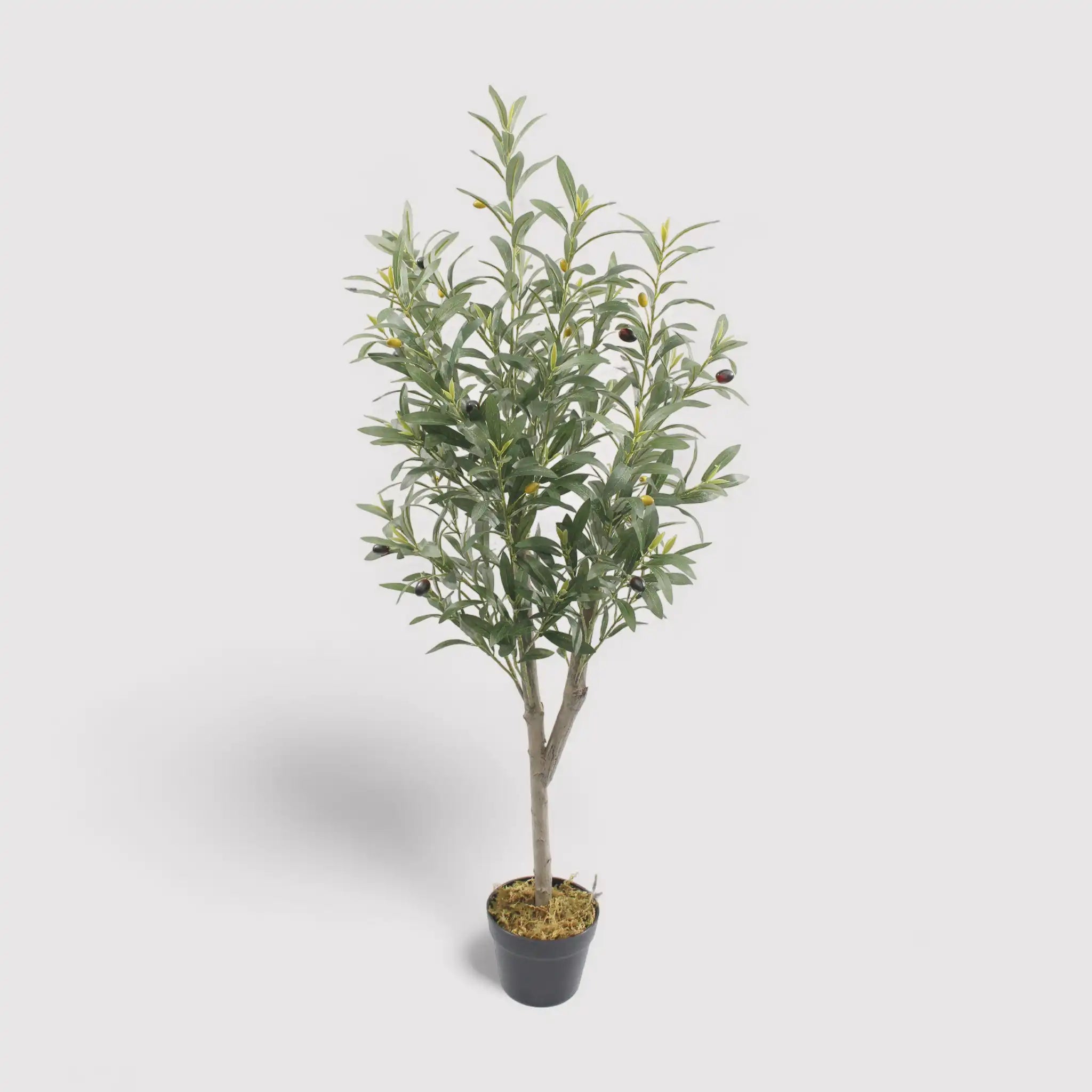 Thoka - Piccola pianta artificiale di ulivo con vaso H 120 cm