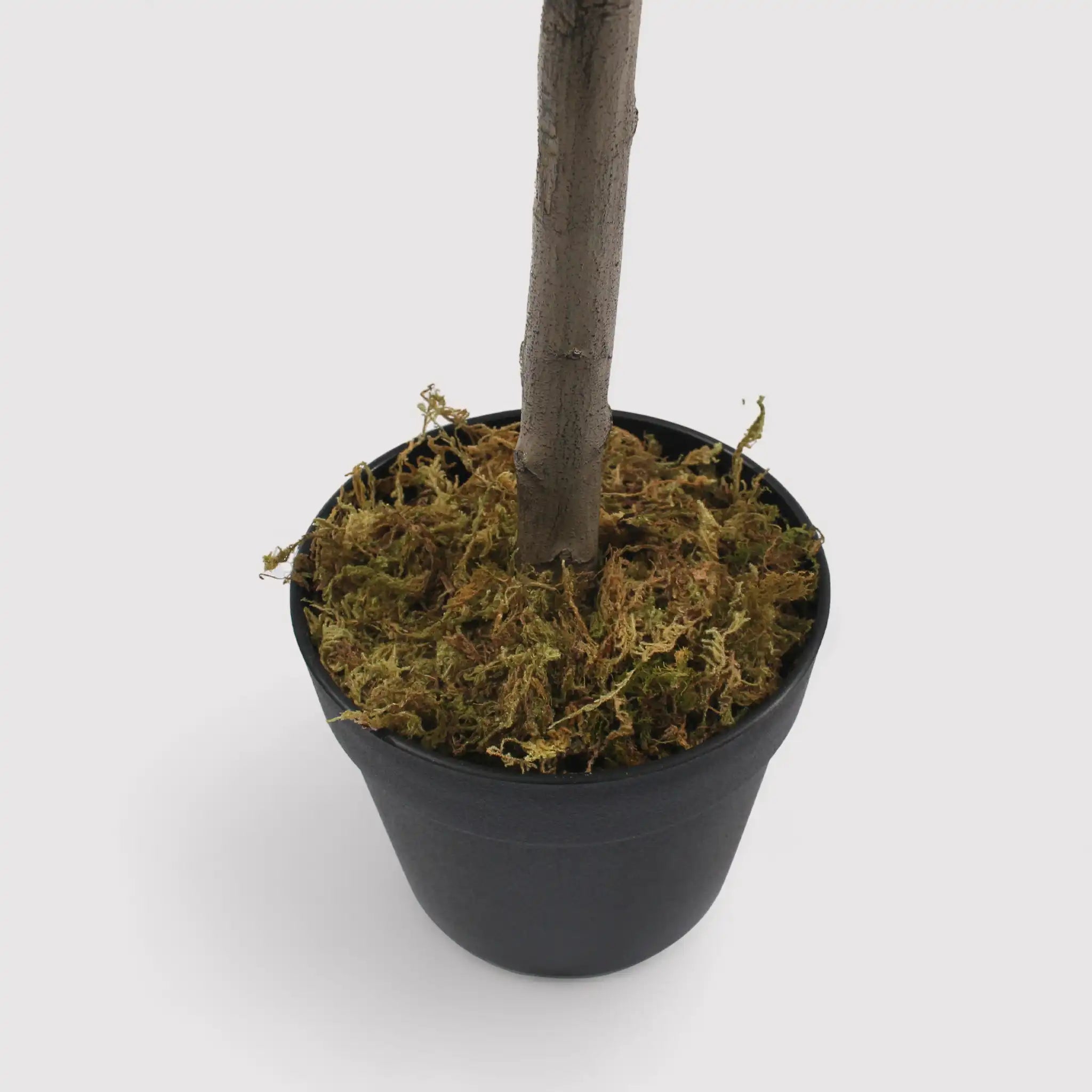 Thoka - Piccola pianta artificiale di ulivo con vaso H 120 cm