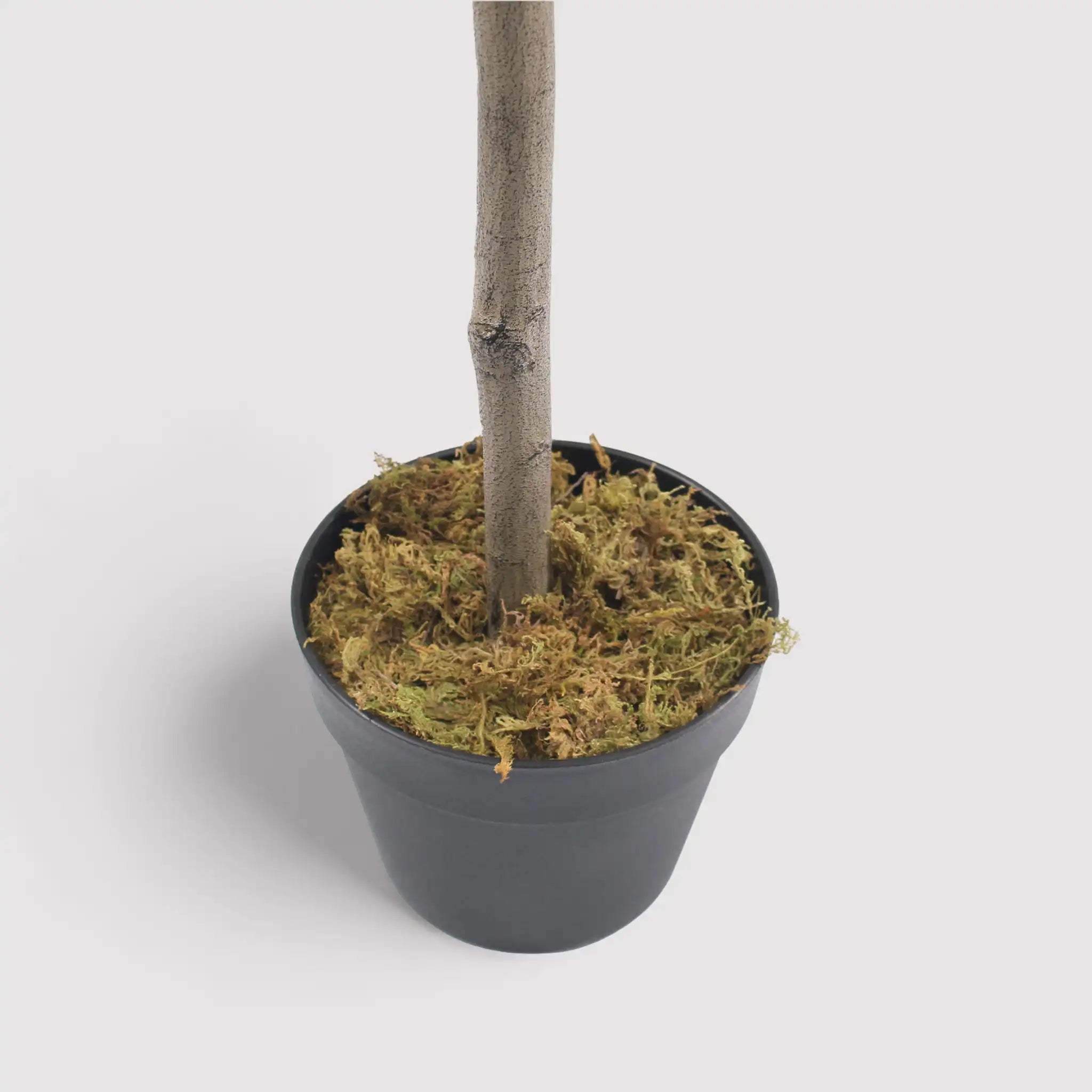 Garnet - Pianta finta di ulivo per casa o esterno H 150 cm