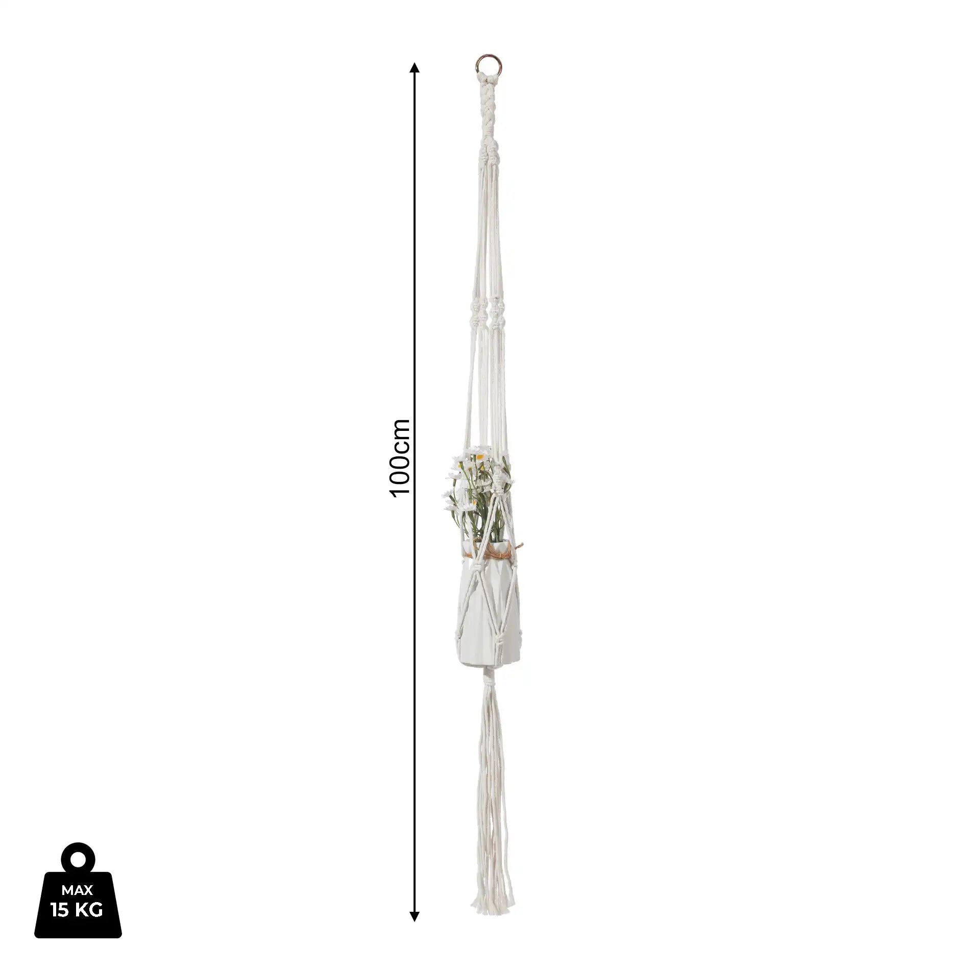 Sarracenia - Fioriera sospesa beige H 100 cm