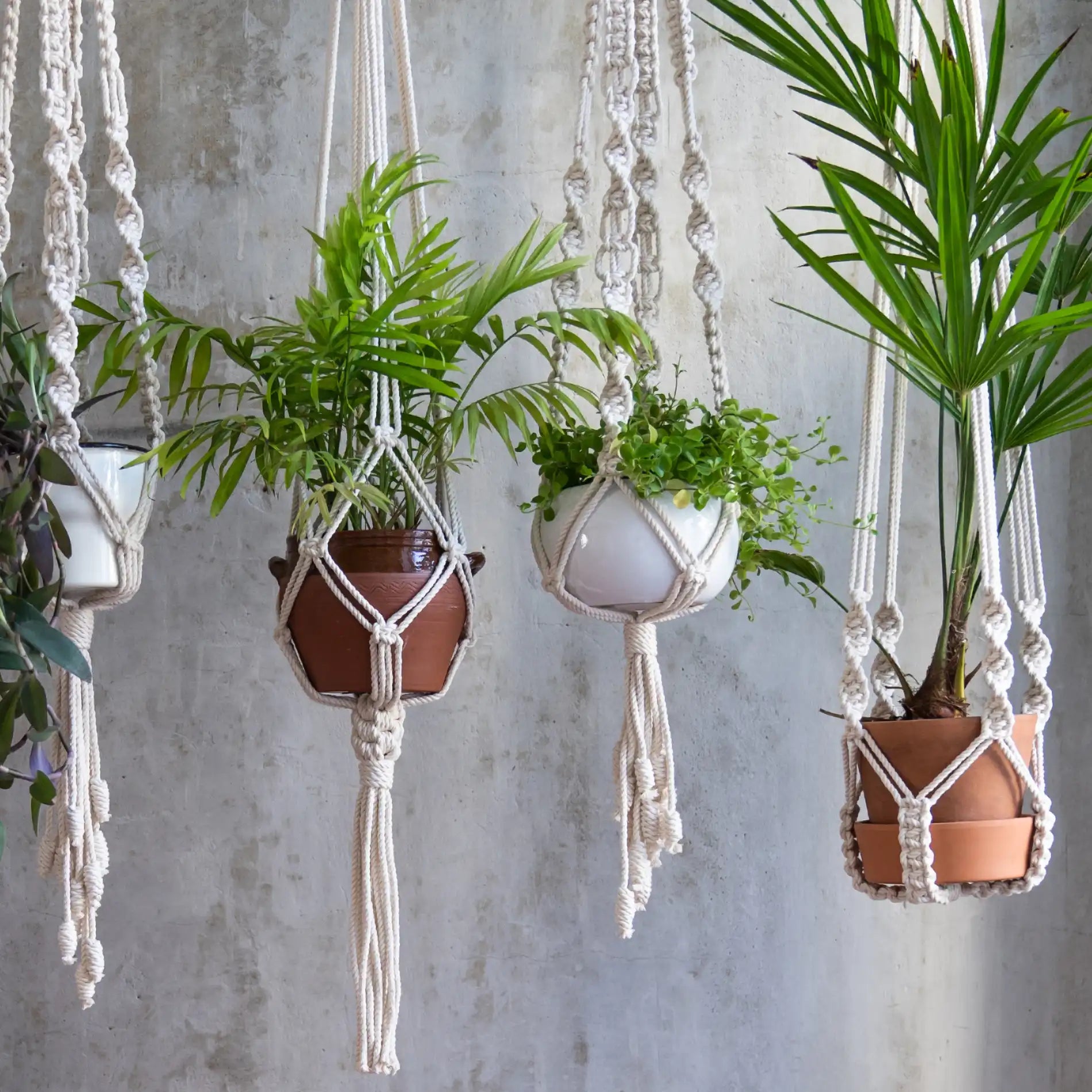 Filodentro - Fioriera pensile beige per 2 vasi H 150 cm